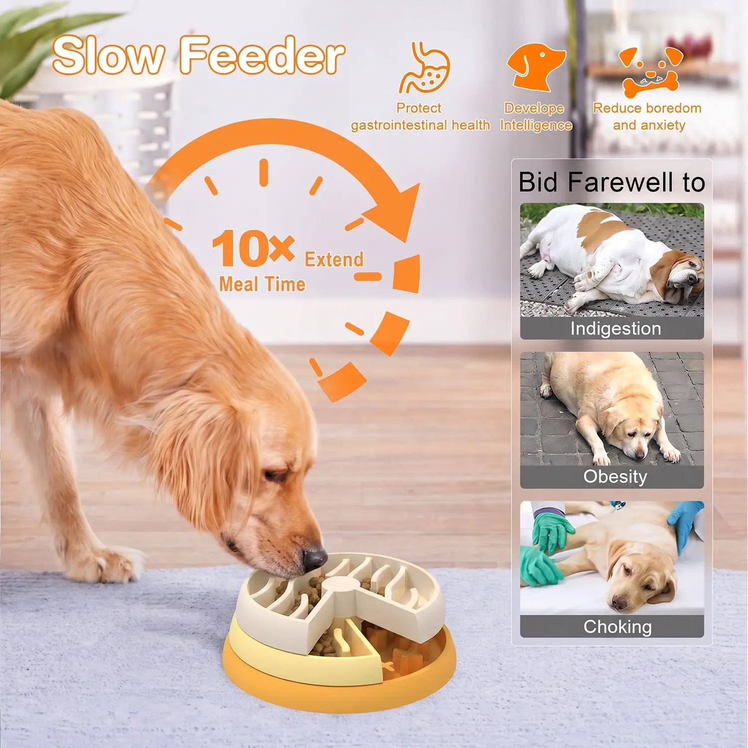 Multi-Layer Dog Slow Feeder Bowl, Interactive Puzzle Food Dish for Dogs, Durable Pet Eating Utensil, Ideal for Training & Playtime