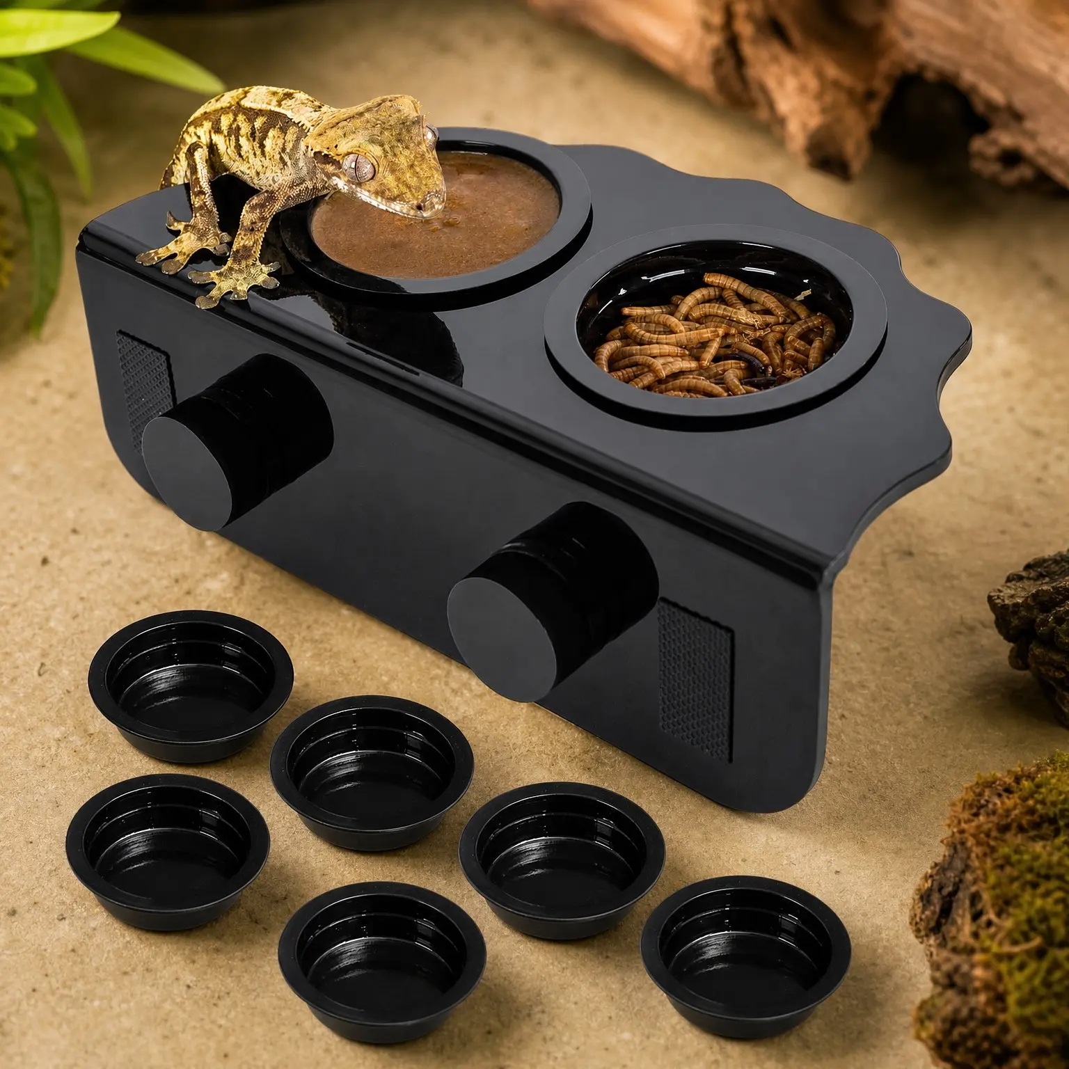 Strong Magnetic Acrylic Gecko Feeding Ledge with 6 Cups, Arboreal Reptile Food LedgeGift