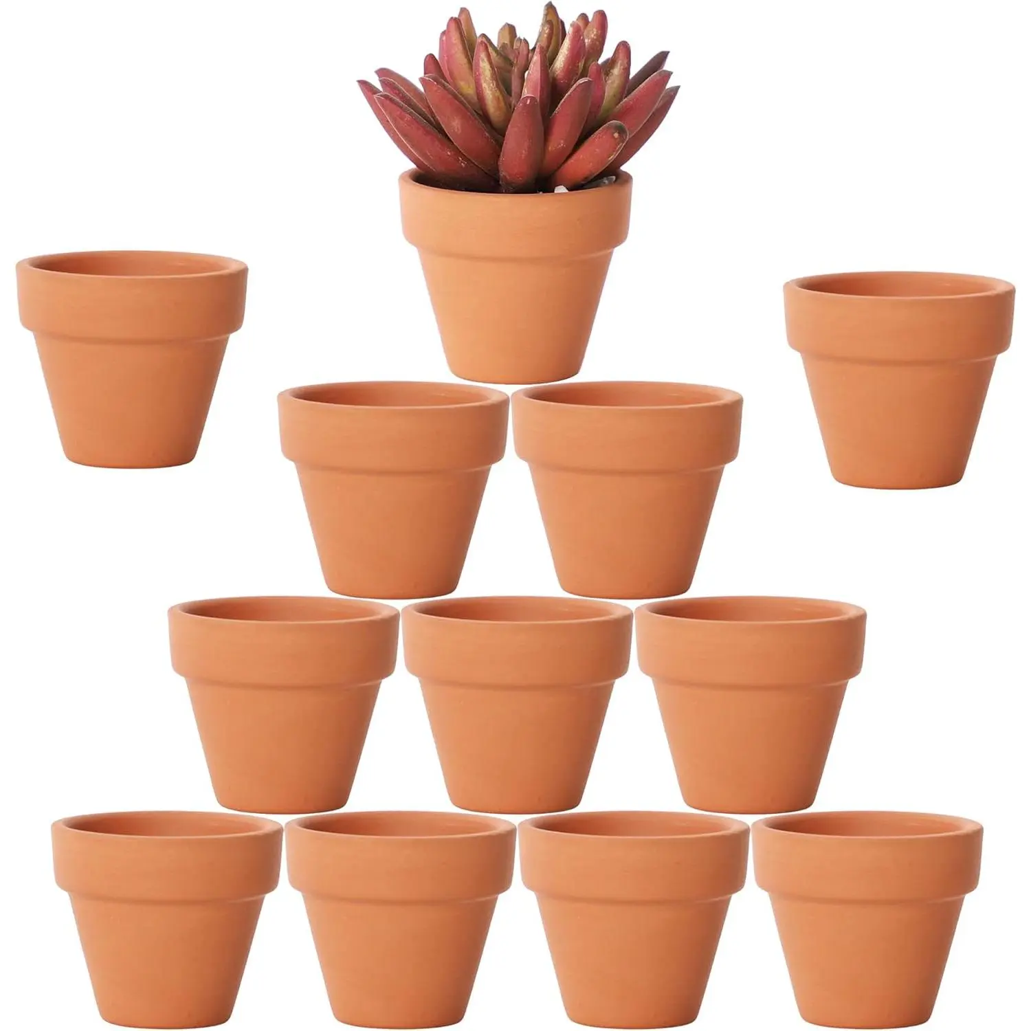 1.9 Inch  Terracotta Pots Pack of 12-Small Mini Clay Pots with Drainage Holes Flower   Cotta Planter for  Cactus  lithop,Succulent ,Crafts,Wedding Favor