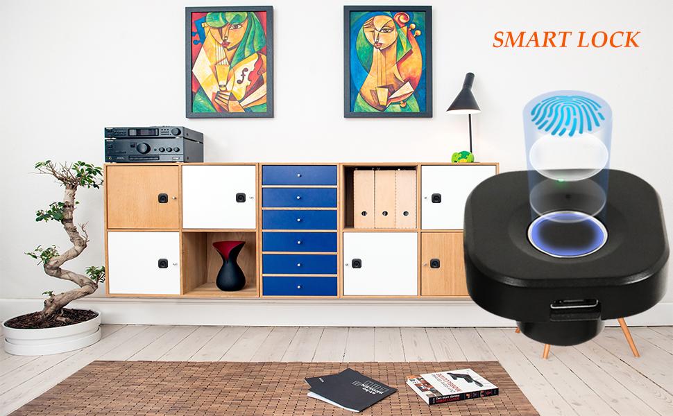 SUMNEW Fingerprint Cabinet Lock, Smart Biometric, Fit for Keyless Hidden File Drawer Wardrobe, Child Safety Electric Fingerprint Lock, DIY Wooden Furniture Privacy for Home Office