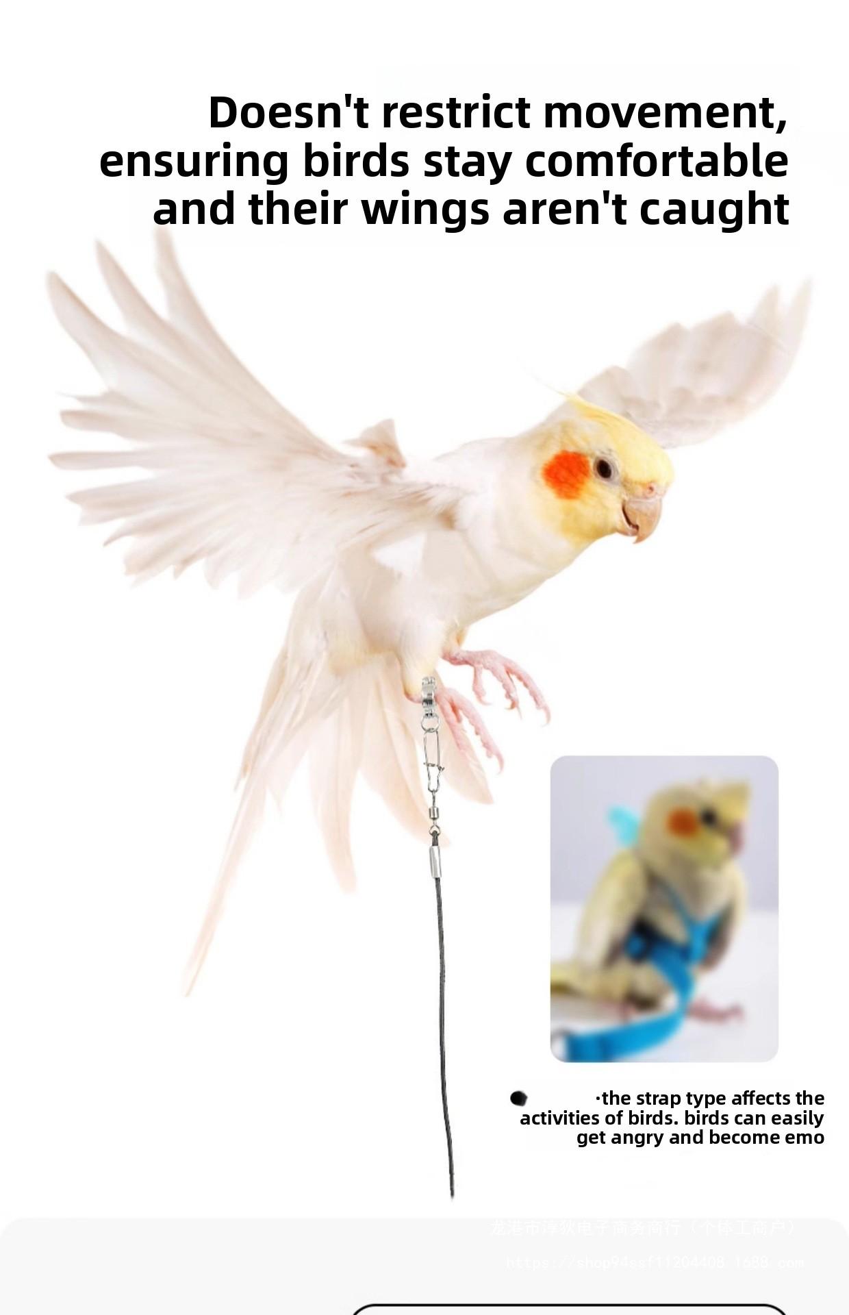 Parrot Leash for Outdoor Training Lightweight No-Foot Injury Bird Harness