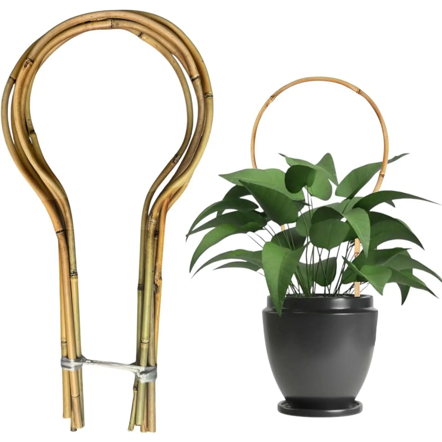 6 Pack Bamboo Trellis Round-Shaped for Potted Plant, 16 Inch Plant Support Stake for Climbing Vines, Decorative Hoop Stake for Potted Hoya