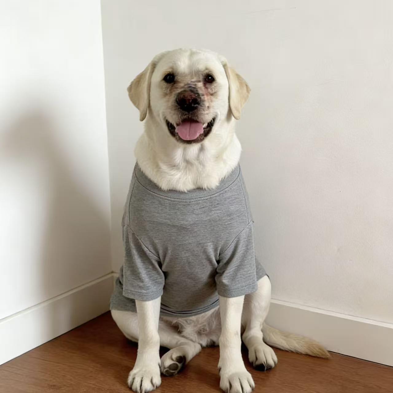 SoPets Summer Cooling Dog Shirts for Large Breeds Labrador Golden Retriever Thin Anti Shedding Shirt Breathable Pet Clothing