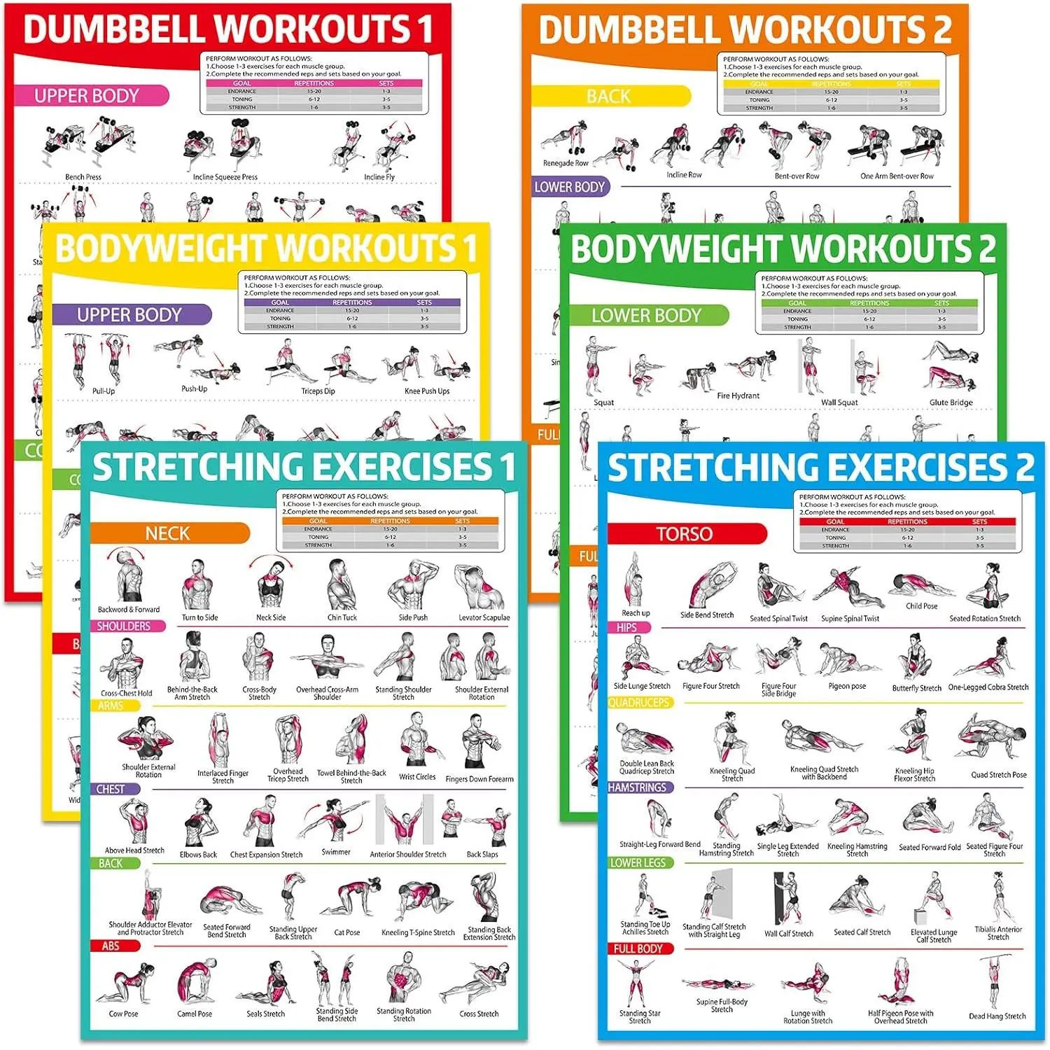 6 count Workout Posters for  Gym Dumbbell Bodyweight Stretching Workout Exercise Chart