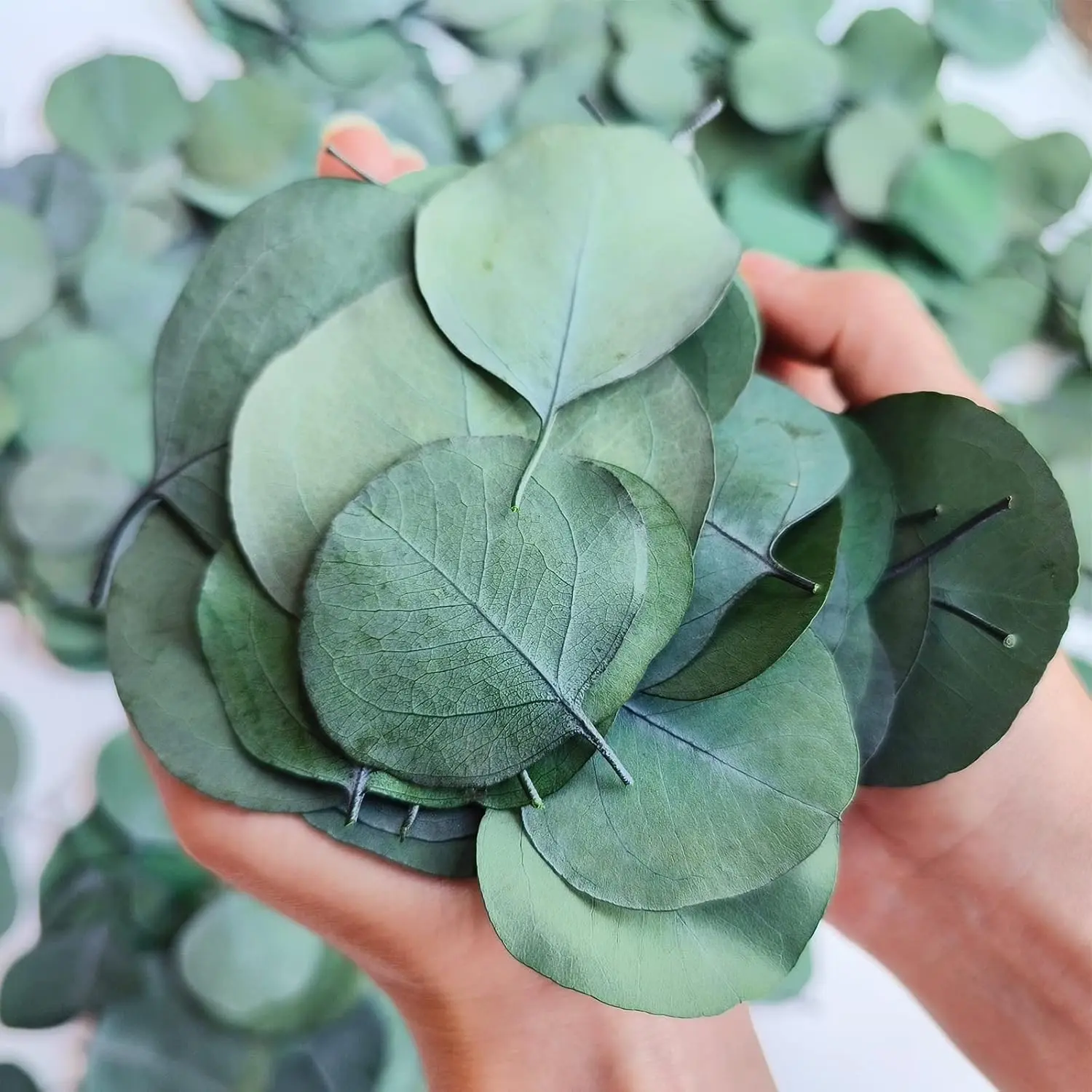 300+ Pcs Dried Real Eucalyptus Leaves, 100% Natural Confetti for Wedding Decor, Rustic Boho Table Decor, Bridal Shower, Baby Shower, Cake Table & Party DecorationGift