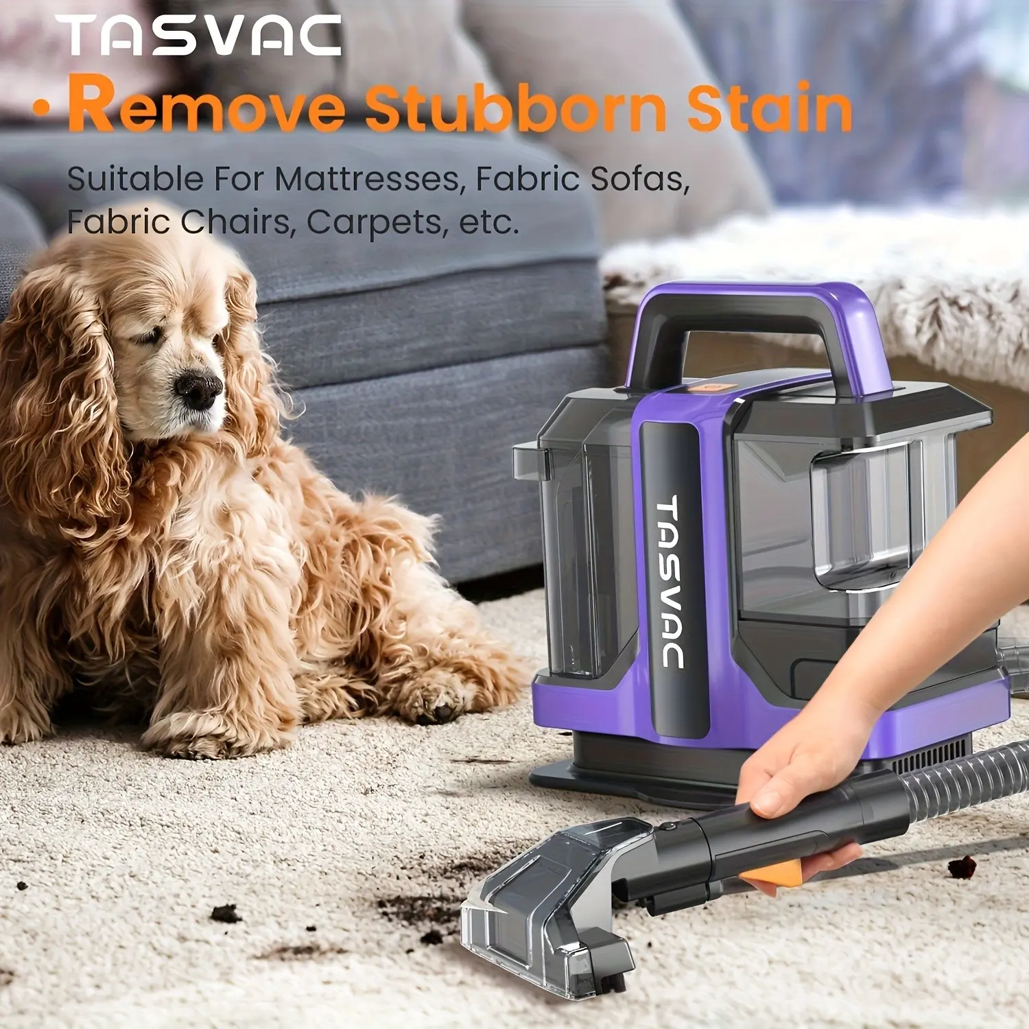 Portable Carpet And Upholstery Cleaner with Two Brushes And Remover Formula Spot And Stain Deep Cleaner for Pets, Stairs, Sofa Carpets, Upholstery, Car Seats
