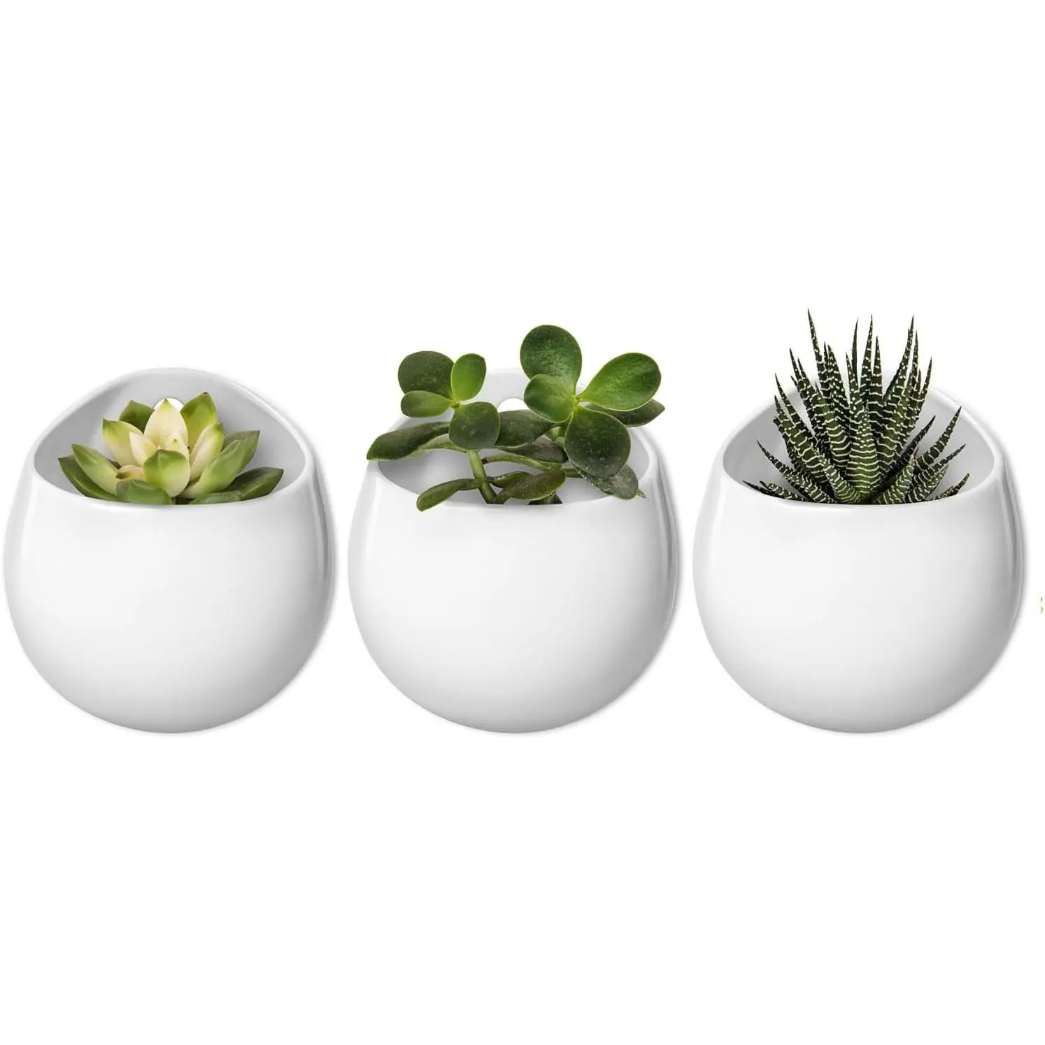 Ceramic Wall Planter for Indoor  4 Inch  Pot, Set of 3 |  Air  Holder, White Round Flower Vase,  Office Wall Mounted Decor,Multi-Purpose Use, Lover