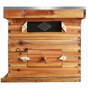 Complete Cedar Bee Hive Starter Kit, 1 Deep & 1 Medium 10-Frame Langstroth Hive, 100% Beeswax Coated, Beginner-Friendly Beekeeping Kit with Full Accessories
