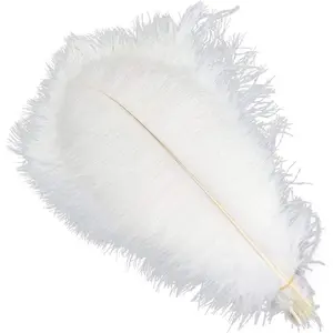 5pcs Ostrich Feathers 16-18inch(40-45cm) Home Wedding Decoration