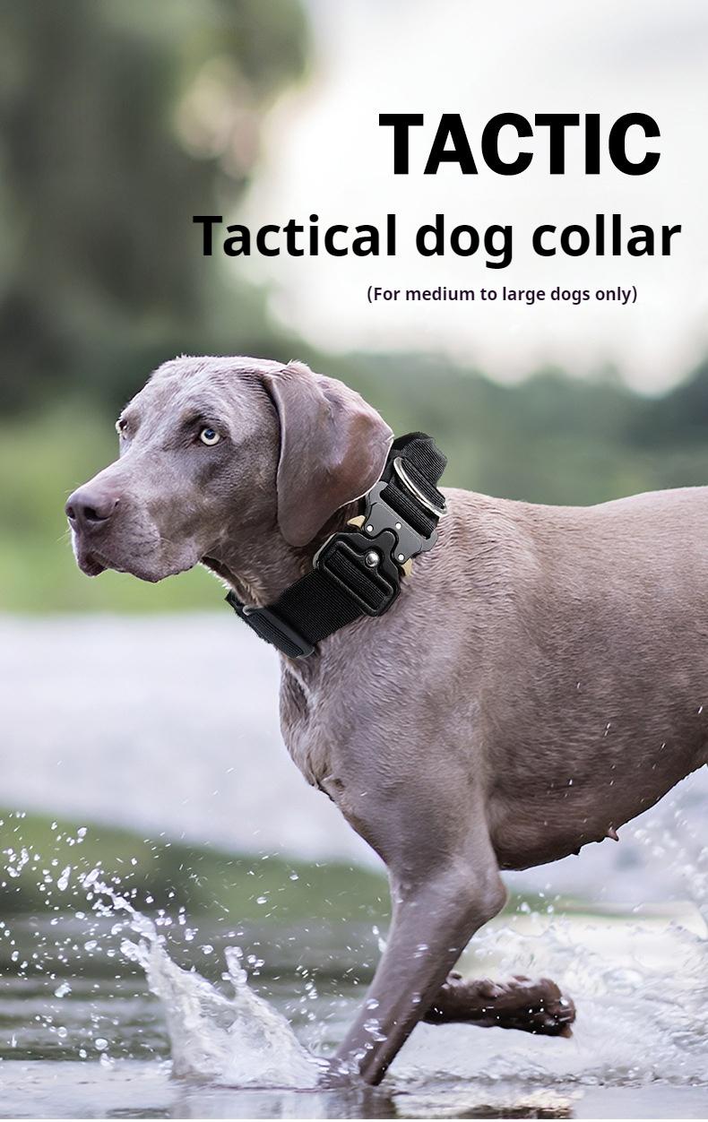 Heavy Duty Tactical Dog Collar with Control Handle, Stylish Pink Fashion No Pull Training Collar for Medium Large Dogs