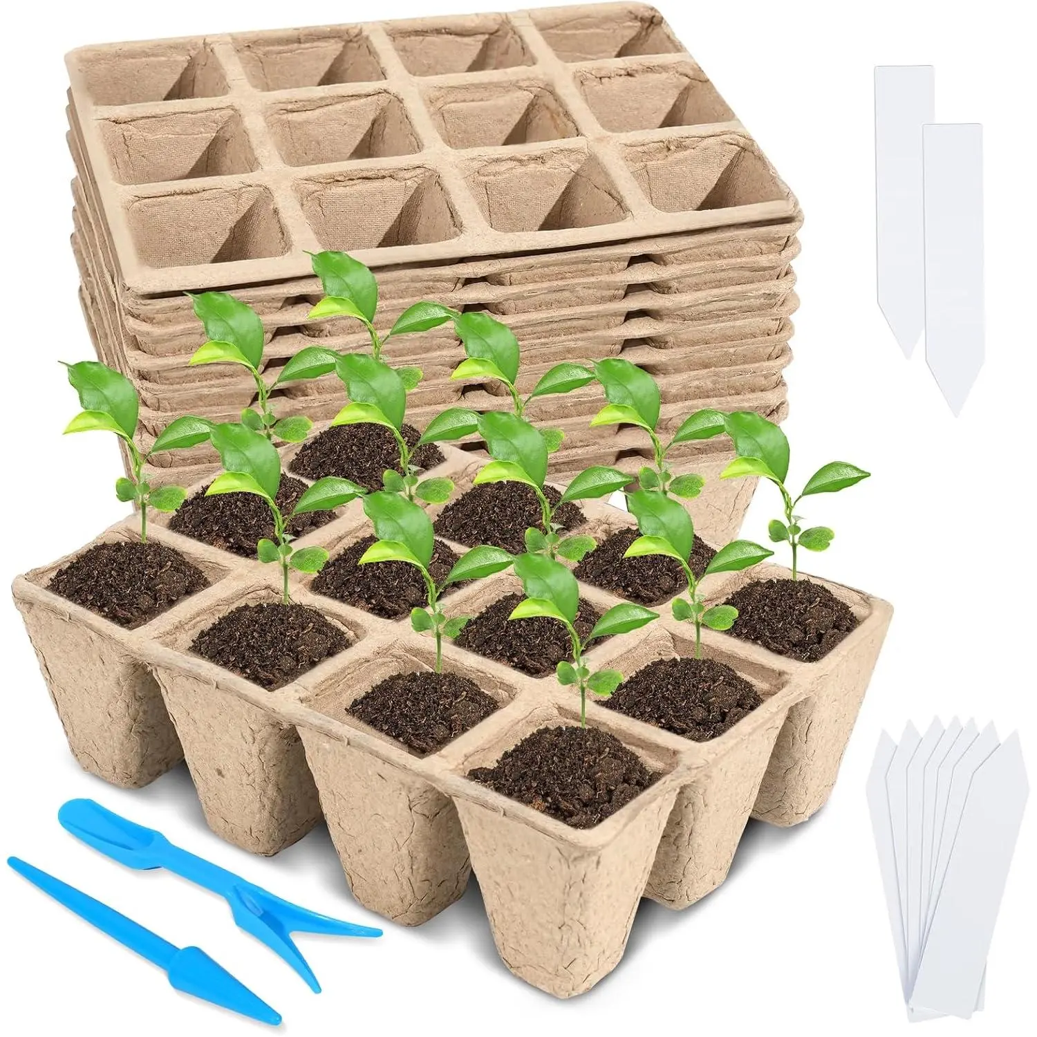 10 Packs Seedling Starter Trays, 120 Cells  Seed Starter  Pots,Seed Germination Starter Tray Kit with 20 Labels, 2 Transplant Tools