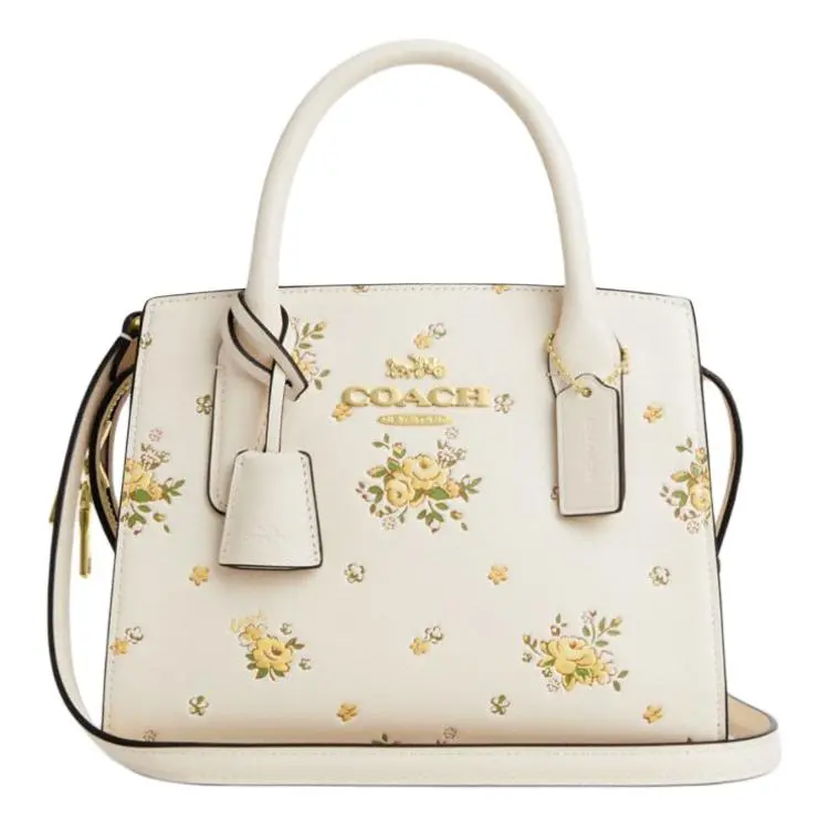 COACH Andrea Carryall 22 Tote Bag for Women – Removable Strap, Calfskin, Small Size, Beige