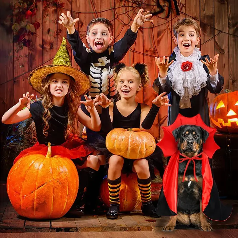 Halloween vampire cat and dog costume, atmospheric magic witch cape, funny cat and dog cloak