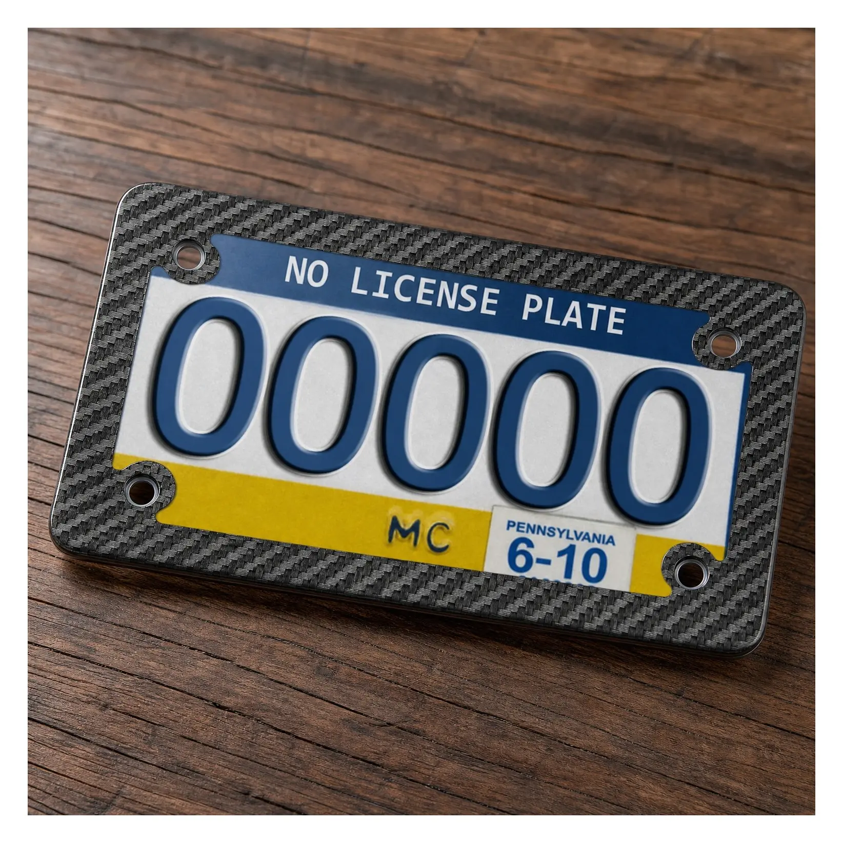Motorcycle License Plate Frame Stainless Steel Carbon Fiber Pattern Rustproof Metal Holder with Screws Nuts Caps Included, 1 Pack, Fits Moto Moped Motorbike Scooter BikeGift