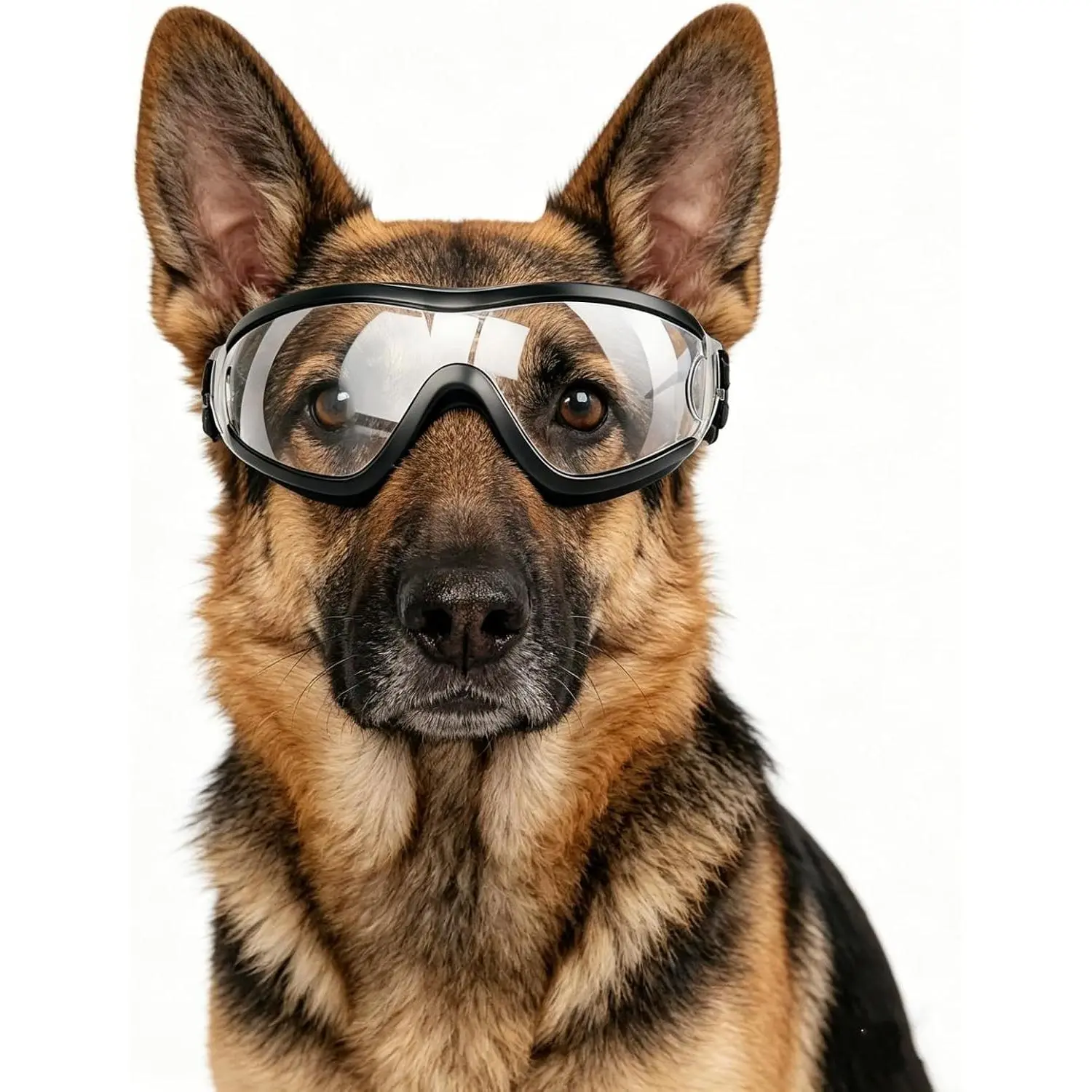 Clear  Goggles for Medium to Large Dogs, UV Protection  Sunglasses Large Breed, Driving Glasses for Dogs Stick  Out  Window, Windproof , Adjustable, Transparent