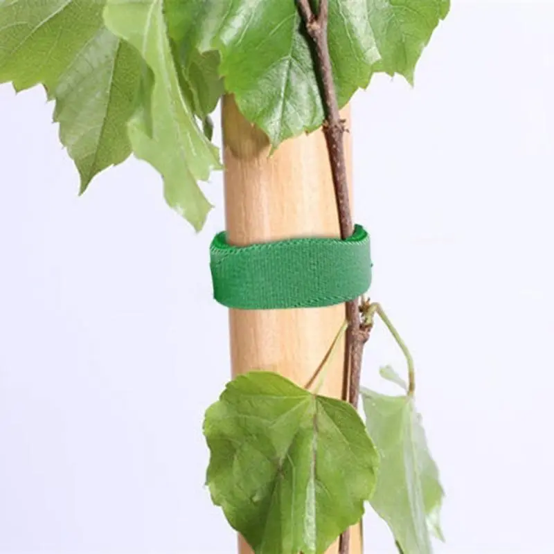 Reusable Green Magic Tape Plant Tie - Self-Adhesive Adjustable Gardening Binding Strap, Soft Climbing Vine Flower Fixing Belt for Home Garden Use