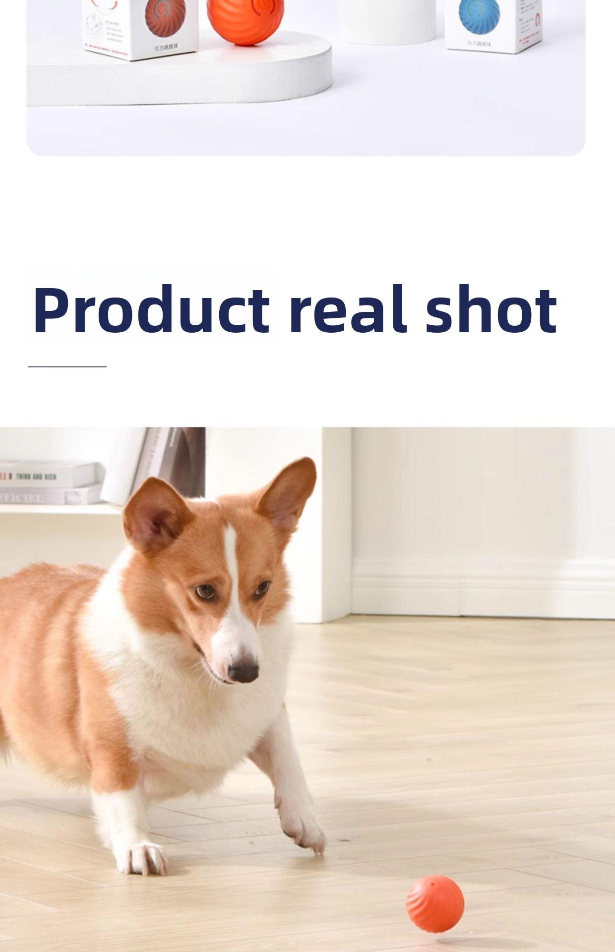 Gravity Jumping Ball Smart Rechargeable Pet Toy Automatic Rolling Interactive Chase Ball for Dogs Cats Livestock Prod with Flexible Shaft pet stuff dog pepper spray dog bugs detector reverse slow feeder shaped harness raised food bowl surprise gift k9