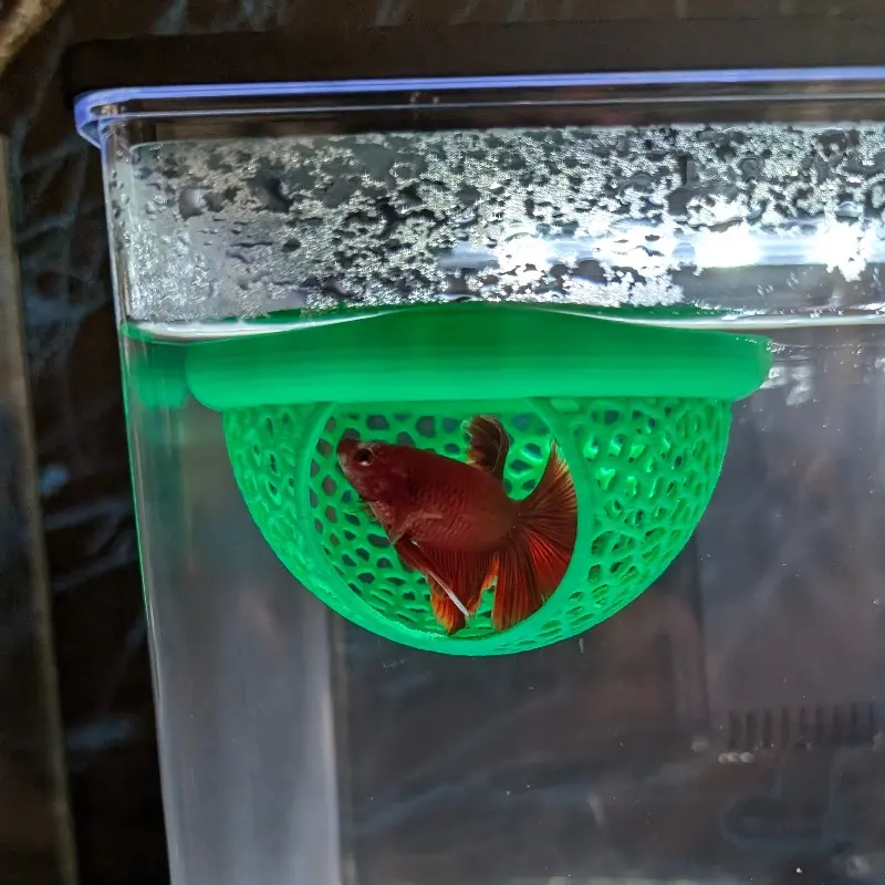 Floating fish house for betta, guppies and goldfish - Aquarium habitat with arched entrance - Mini fish tank for small aquariums, fish tanks and ponds - space saving, easy to clean, no electricity required - Beta Fish Aquariums