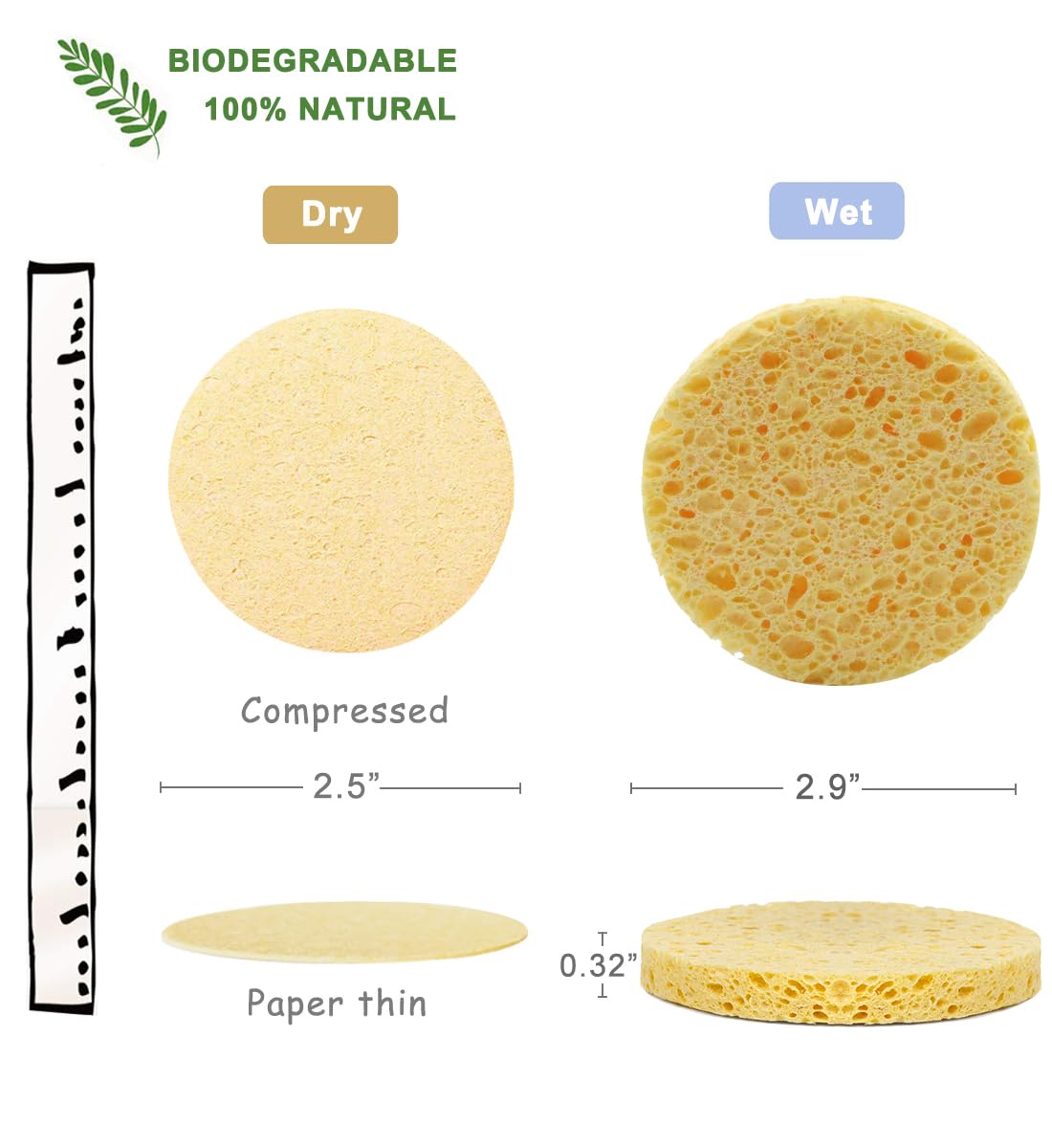 50-Count Compressed Facial Sponges for Daily Facial Cleansing and ,     Sponges for Makeup Remover, Multicolors