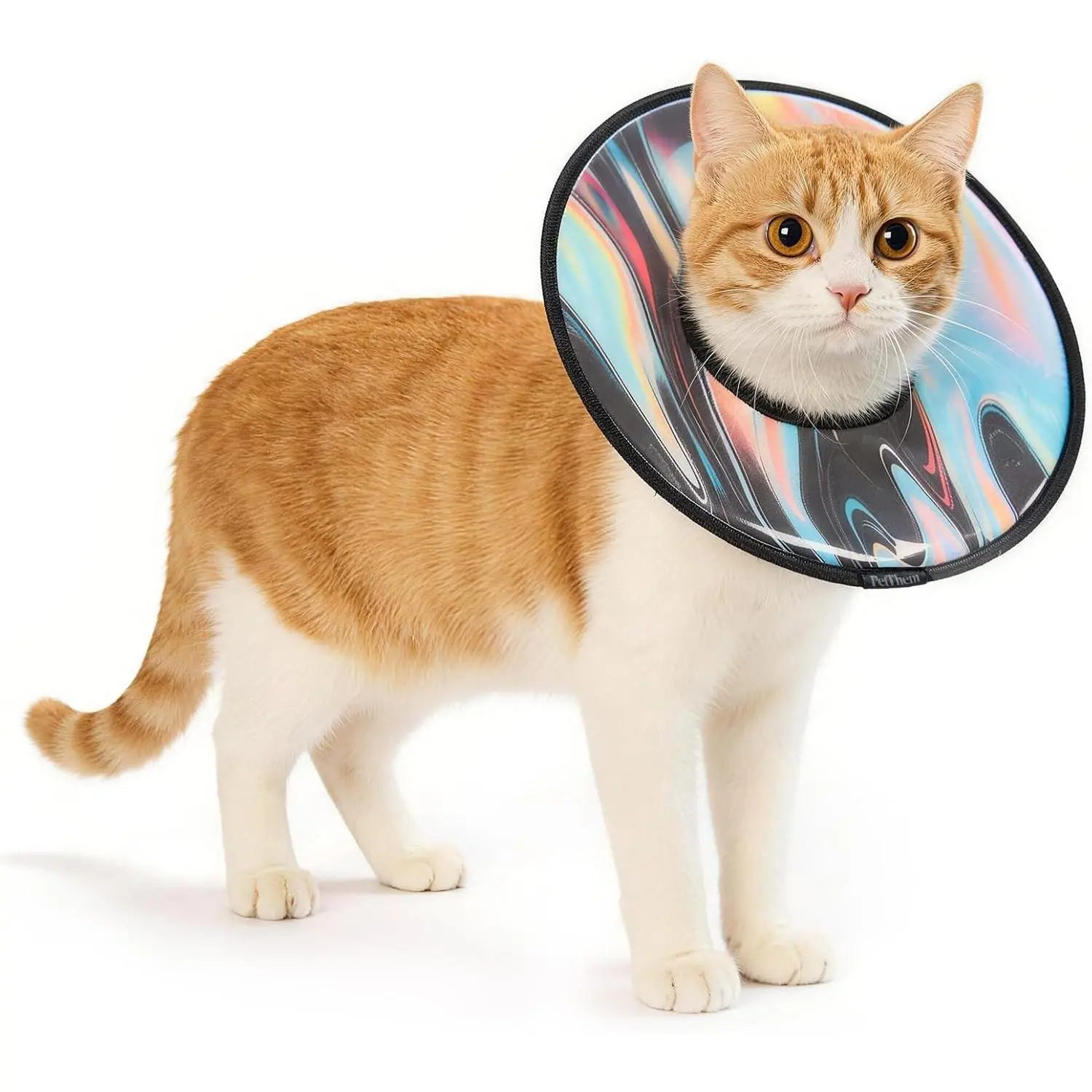 Soft Cat Cone Collar, Adjustable Cat Recovery Collar, After Surgery, Waterproof & Easy to Clean, Lightweight Elizabethan Collar for Cats and Small Dogs (S)