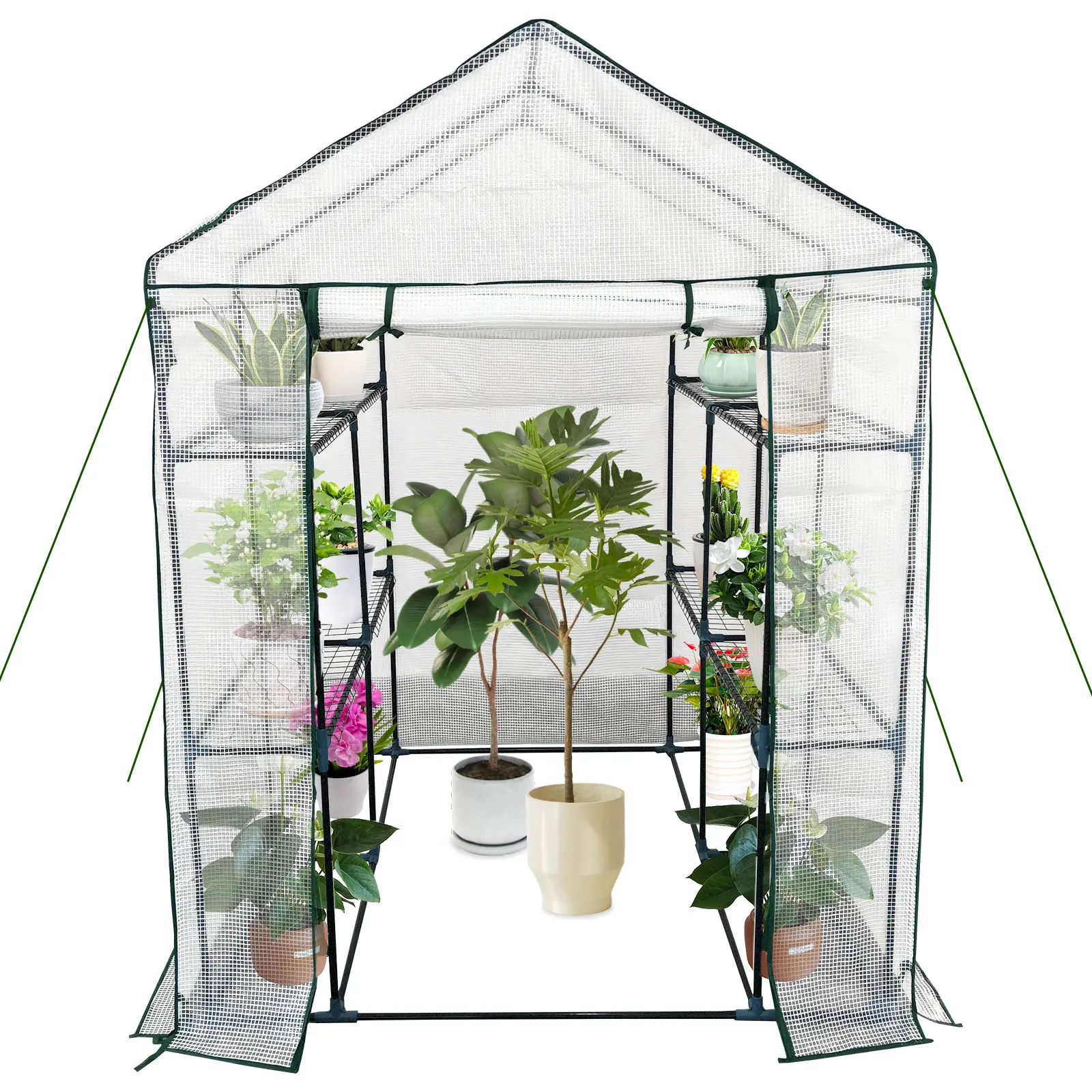 Mini Walk-In Greenhouse Kit - 56×56×75 Inch (143*143*195Cm) Compact Portable White Plant House, Heavy Duty Steel Frame, Thick PE Cover, Adjustable 8-Shelf System, Zipper Roll-Up Door for Garden, Indoors