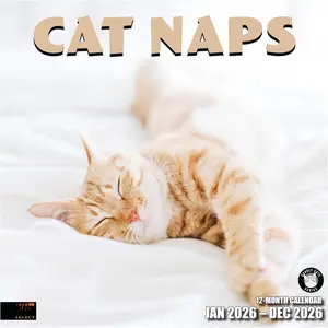 Select -  Naps 2026 Wall Calendar 12 Month | 12" x 24" Open | Thick & Sturdy Paper | Giftable | Cute Funny Kitten  Calendar 2026