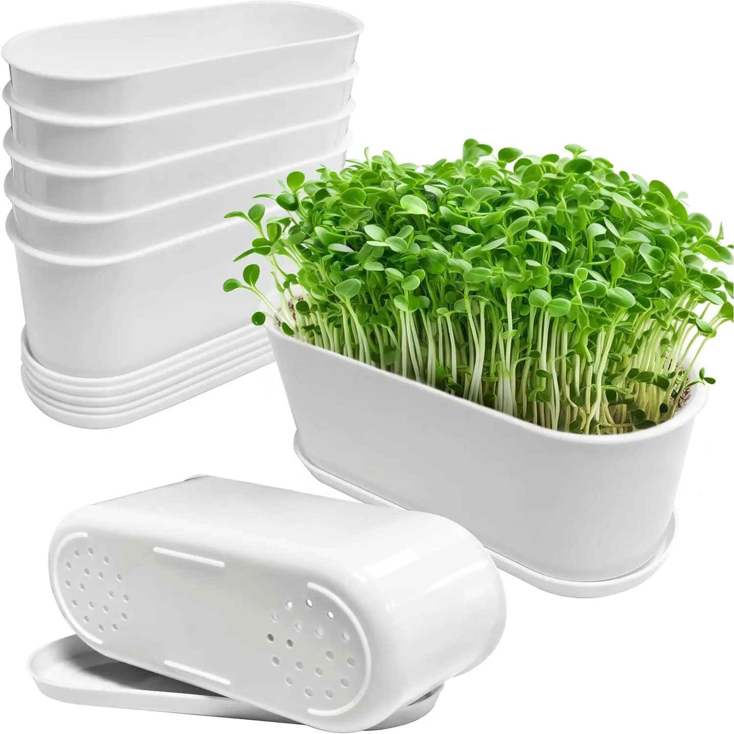 5 Set Window  Planter Box Rectangular,8.5x3.5 Inch White Plastic Planters with Multiple Drainage Holes and Trays,Indoor Succulent Cactus Mint Flower Pot for Windowsill,Garden Balcony