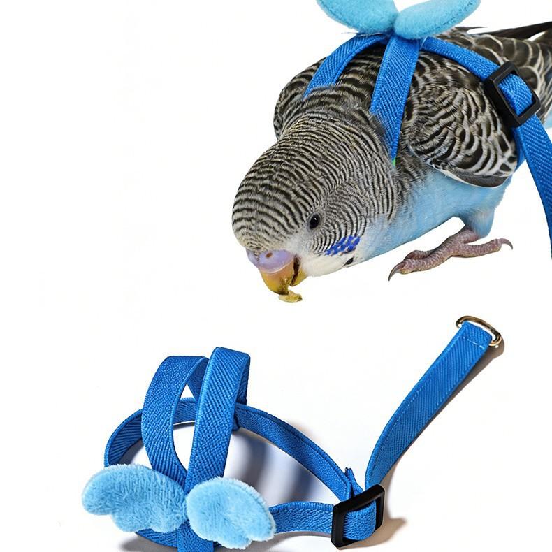 Parrot Flight Training Leash, Back Strap Wing Harness with Elastic Bungee Rope, Outdoor Walking Lead for Small Parrots, Escape-Proof Bird Leash for Budgie Cockatiel Lovebird Squirrel-proof Metal Feeding Station Cage Stand Parrot Flight Training Leash, Back Strap Wing Harness with Elastic Bungee Rope, Outdoor Walking Lead for Small Parrots, Escape-Proof Bird Leash for Budgie Cockatiel Lovebird Squirrel-proof Metal Feeding Station Cage Stand