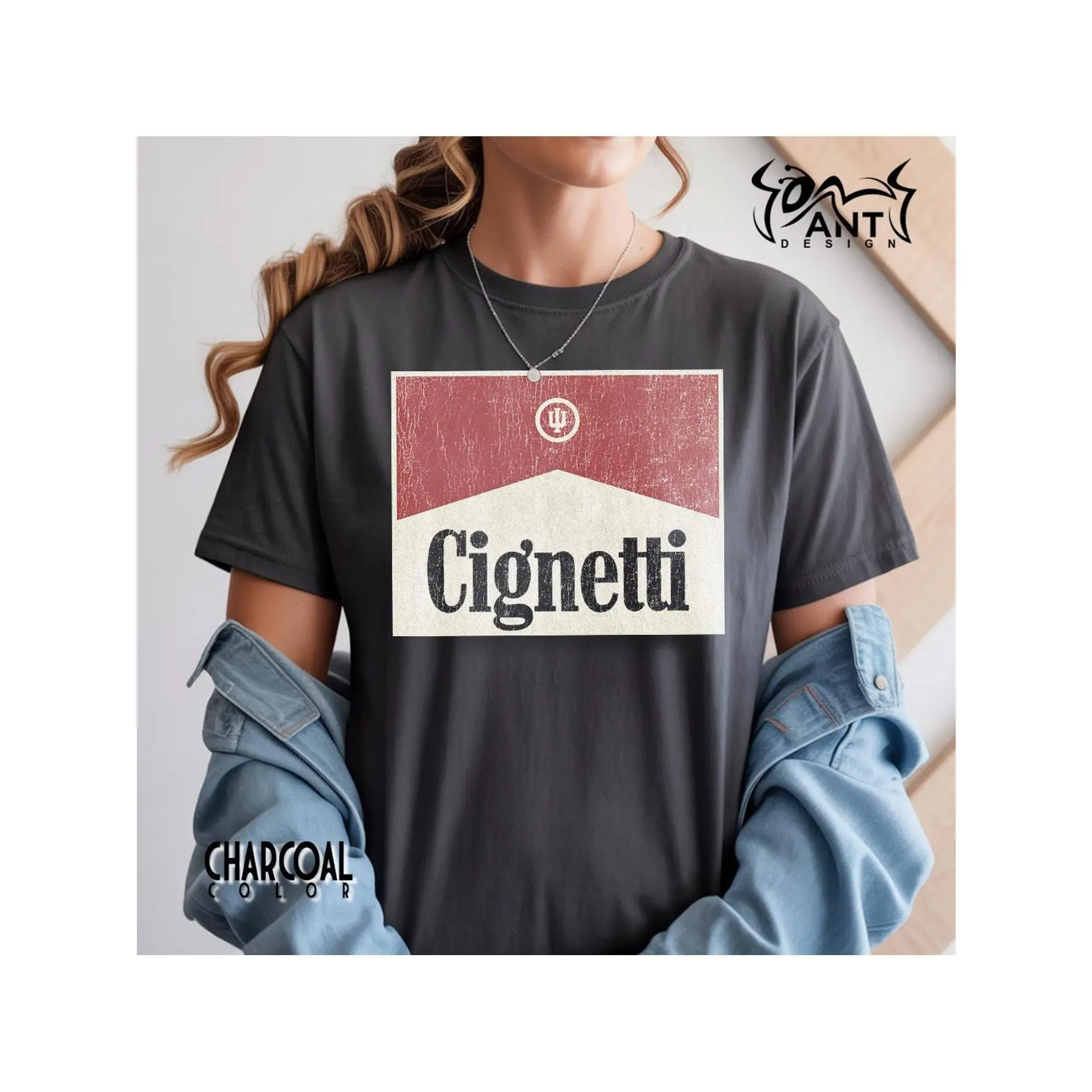 Football Coach Curt Cignetti Retro Red Box T-Shirt, Sports Fan Tee, College Football Shirt, Unique Gift, Game Day Apparel