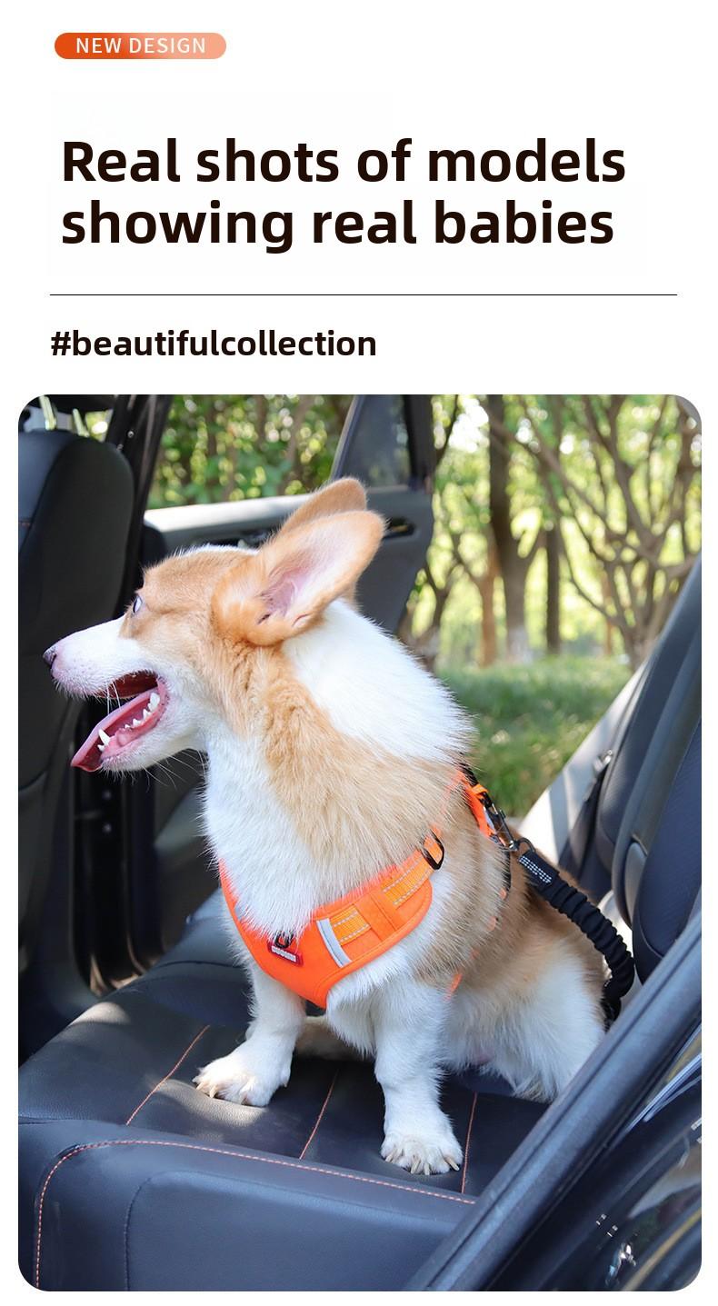 Dog Car Safety Seatbelt, Retractable Bungee Dog Leash, Shock Absorbing Reflective Safety Leash with Steel Buckle, Adjustable Length 20.87-29.53in for Pet Travel, Heavy Duty Vehicle Restraint for Small Medium Large Dogs, Anti-Pull Comfort Walking Leash