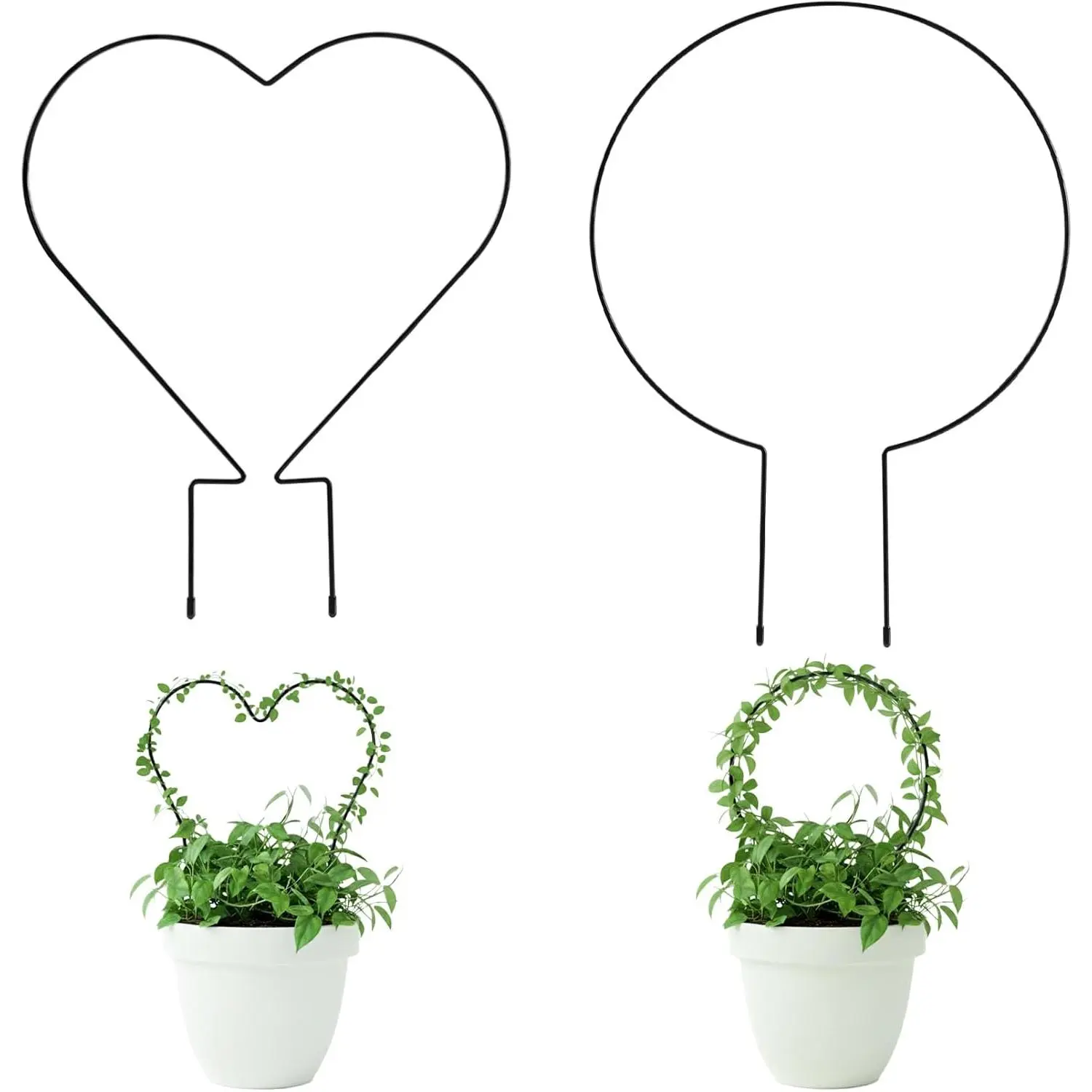 Trellis for Potted , Small House  Support, Indoor  Trellis for Climbing  (Circle and Heart Shape)