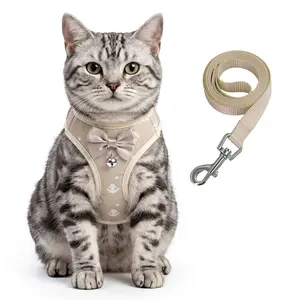 2 Pcs Harness and Leash Set Harness Leash Combo for Small Dogs and Cats, Kitten Harness and Leash Set, Comfortable Activity Support, Pet Chest and Back Design, Model Hb03
