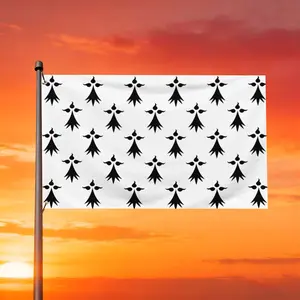 Brittany Ermine Flag(1) comes with 2 rings, suitable for home/garden/outdoor/indoor use, available in various sizes. Wall banner, poster banner, flag banner, sail banner, sign banner, home decoration, outdoor banner sign, party parade wind-blown banner, i