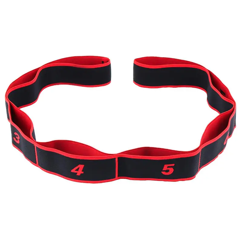 Digital Resistance Elastic Bands - Color-Coded, Durable, Flexible, Numbered Levels for Veteran Fitness Enthusiasts, Yoga Stretching, Glute Growth, Bodyweight Training & Resistance Band Workout
