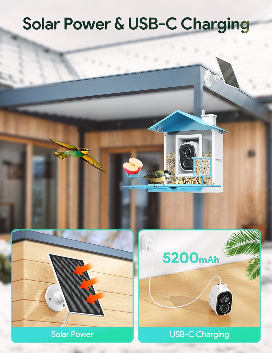 Bird Feeder with Camera, Smart Bird Feeder Camera with AI Identify, Metal Bird Feeder with Suet Cage & Fruit Fork, Auto Capture Bird Videos & Motion Detection, Ideal Gift for Bird Lovers