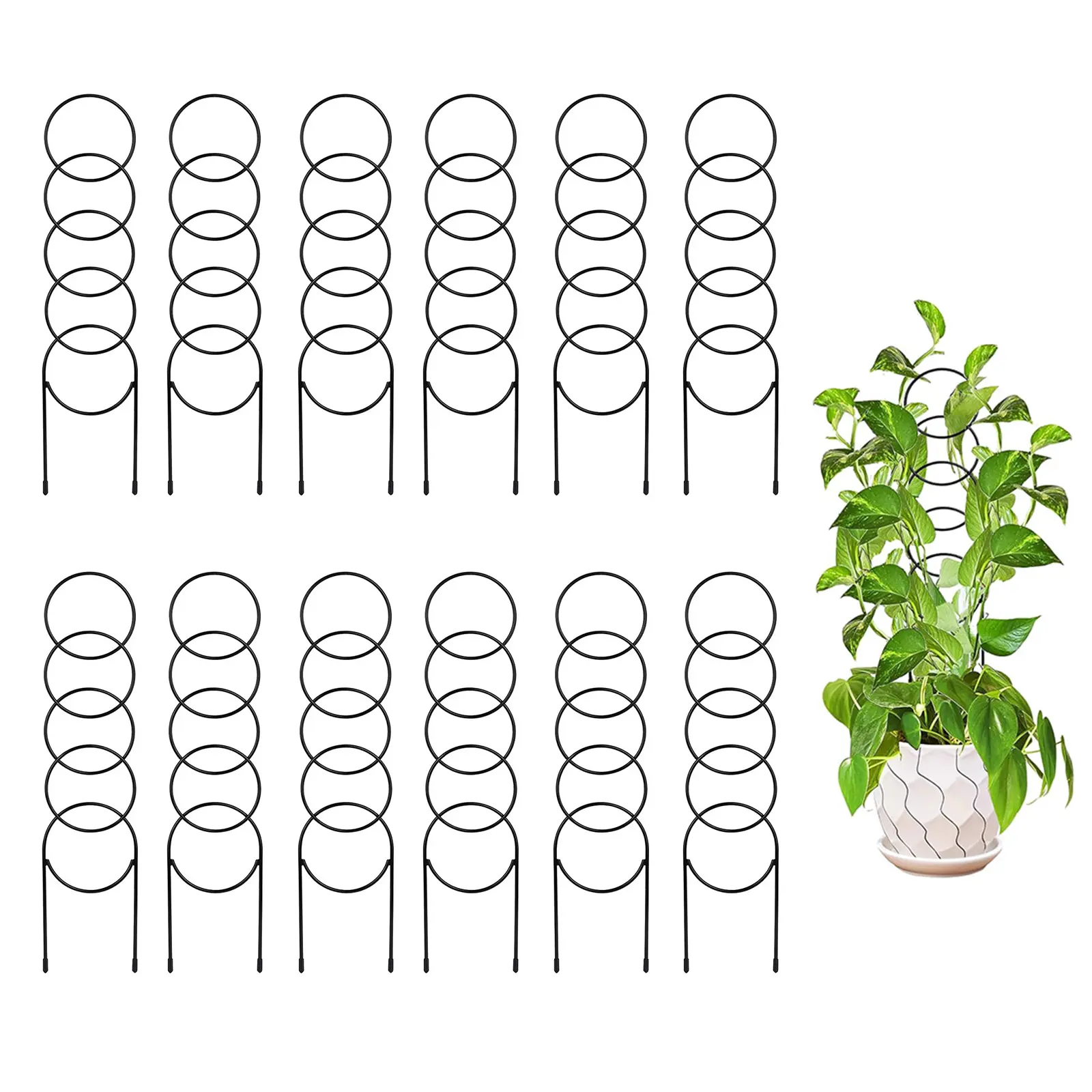 Sturdy Metal Plant Trellis for Climbing Plants – 12 Pack Garden Support for Indoor Potted Pothos, Hoya, Ivy – Rustproof Flower Stand – Ideal for Flower Houseplants – Small Size, Heavy Duty Design