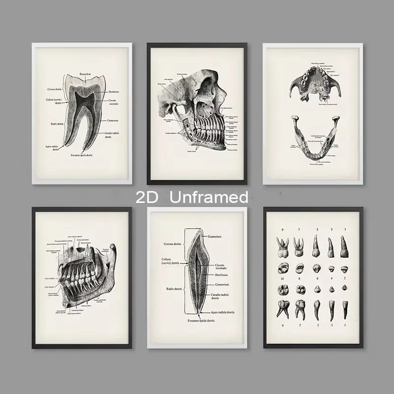 6-Piece Set  Frameless  Dental Anatomy Posters  Dental Art  Dental Office Decor  Gifts for Orthodontists  Dental Clinic Wall Decor  Dental School Education