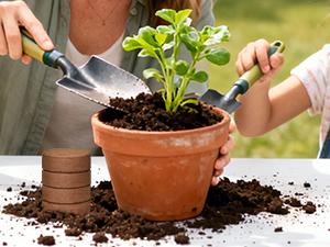 50 Pcs 30mm Organic Coco Coir Pellets for Seed Starter, Compressed Coir Potting Soil for Planting, Soil for Indoor Plants Herbs Flowers Vegetables