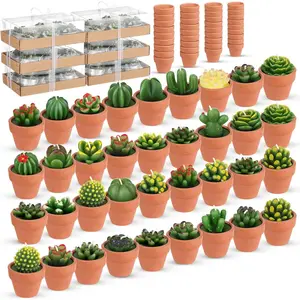 36 count Succulent Cactus Tealight Candles with Mini Terracotta Pots, Spring Decor, Fiesta Cinco De Mayo Party Decorations, Mexican Party Favors,  Shower Wedding Table Decor(Red)