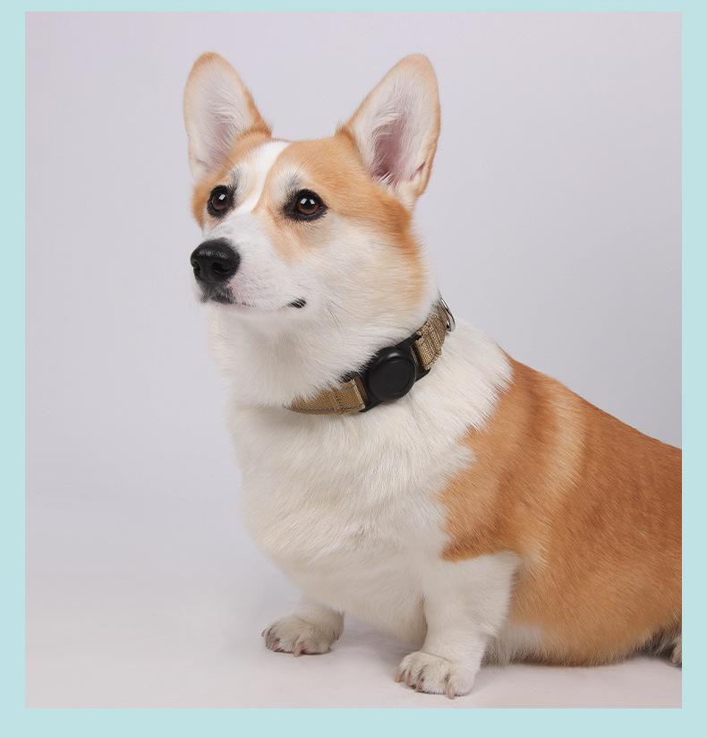 GPS Tracker Compatible Dog Collar, Waterproof Anti-Lost Pet Collar with Reflective Strips, Custom Laser Engraved, Durable for Small Medium Dogs, Safety Walking Pet Collar Protective Cover, Escape Proof Lightweight Adjustable Dog Neck Strap