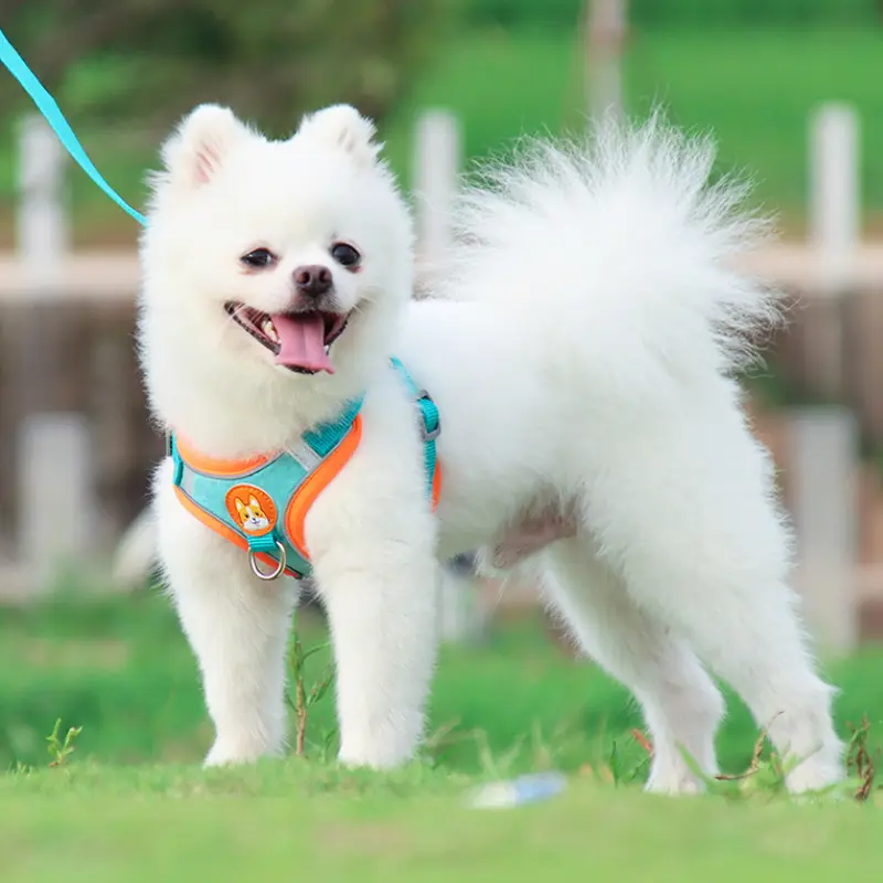 Dog Chest and Back Traction Rope Set Adjustable Reflective Chest Strap Breathable Pet Tank Top Suitable for Outdoor Walking, Running, Daily Use, Small and Medium sized Dogs