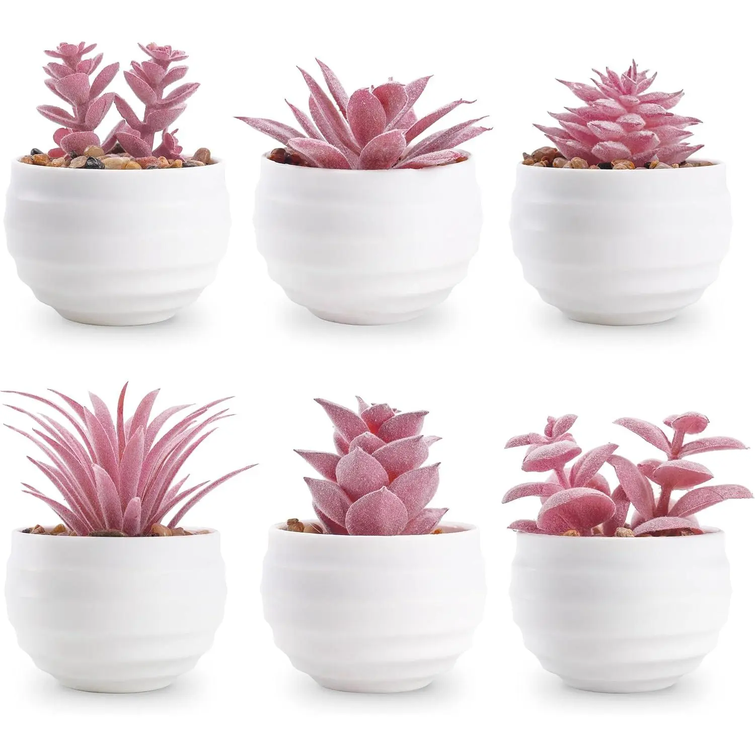 6-Pack Potted Succulent Plants Set with White Pots, Soft Leaf Shapes & Decorative Pebble Finish – Ideal for Room Decor, Gifts for Bedroom & Desk Shelf