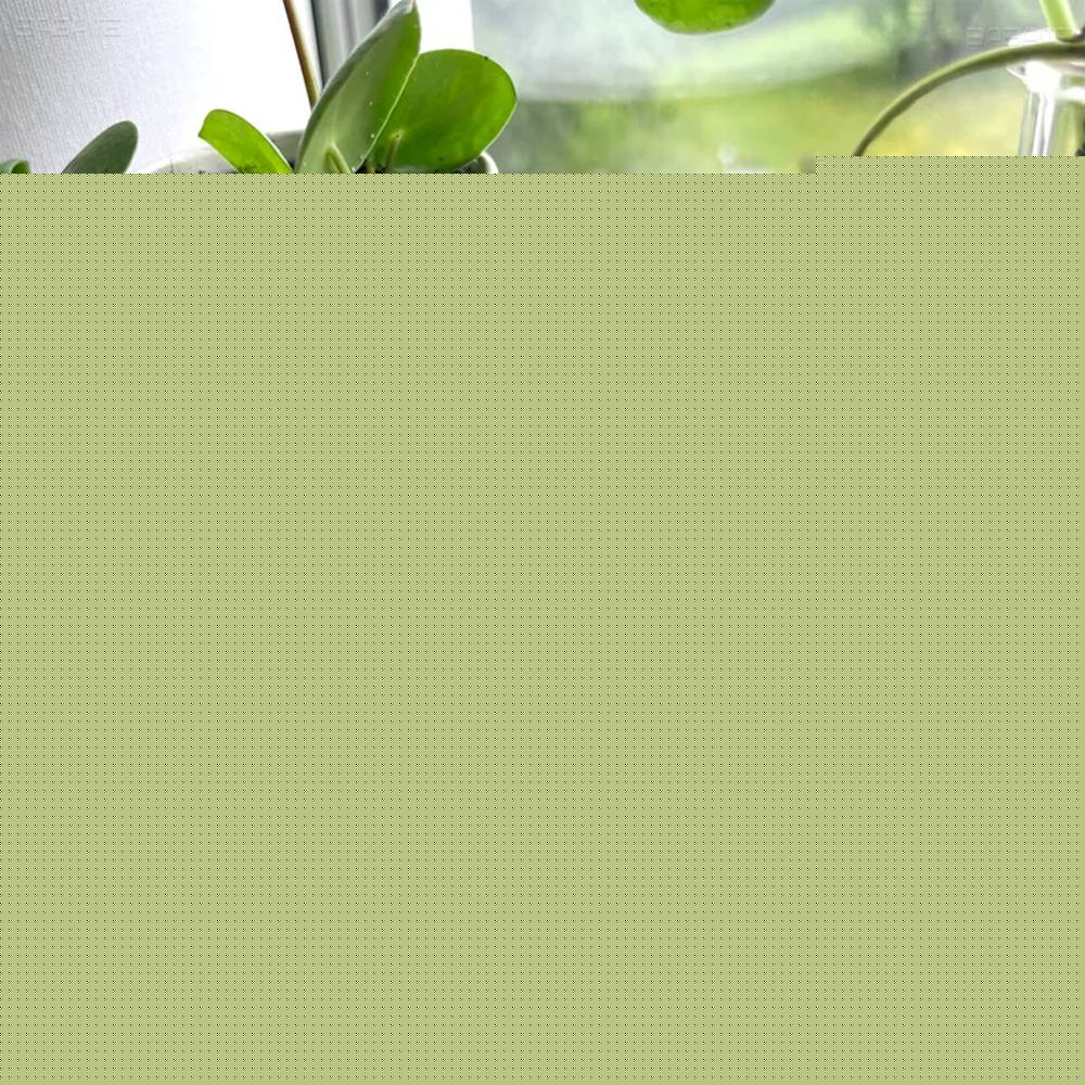 Saiki K Japanese Anime 32/44/58mm Round Cartoon Brooches Handmade Pins For Backpack Jewelry Accessories Gifts Creative Badge