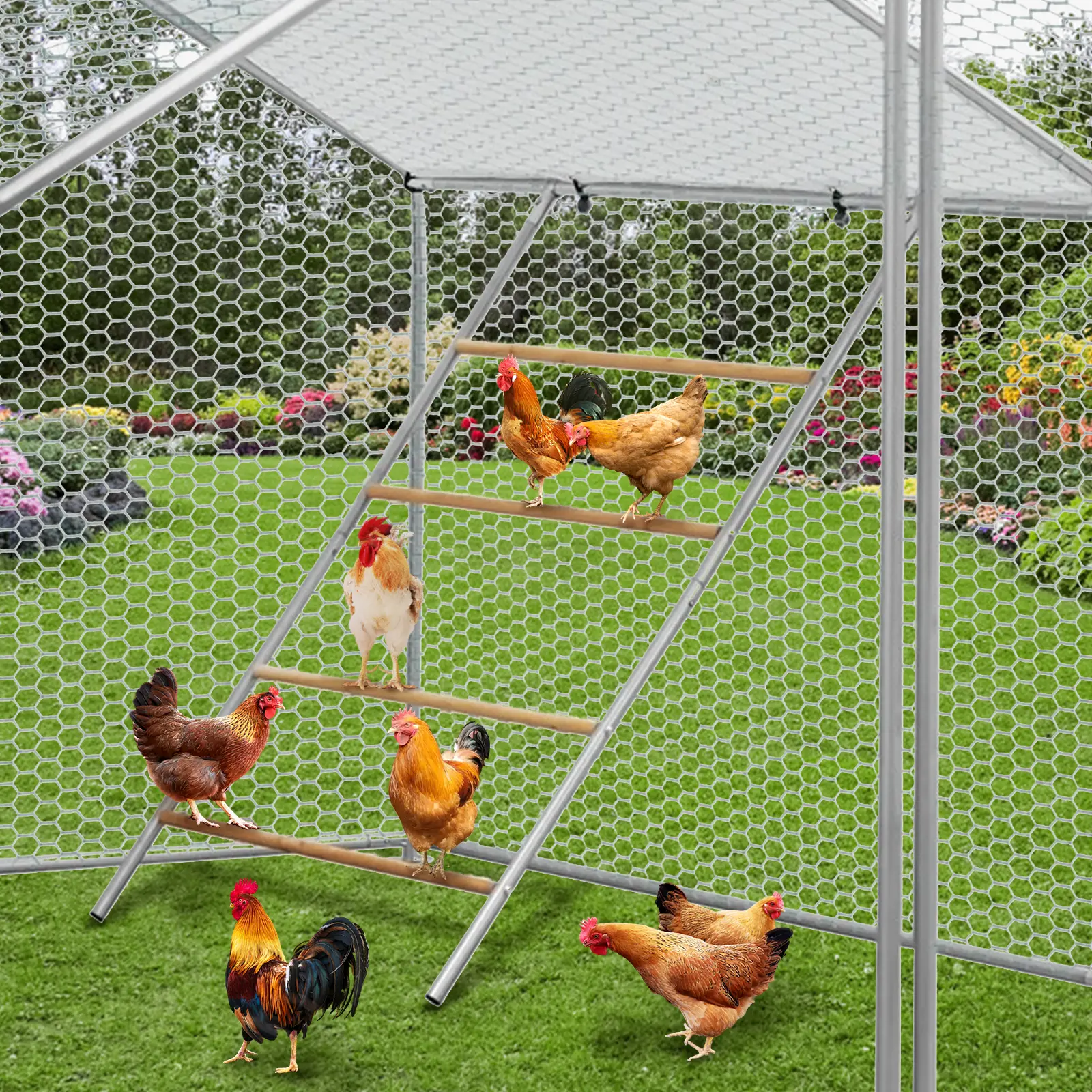 55"H Extra Tall Chicken Roosting Bars for Coop, 40"L Durable Metal & Wood Perch for Baby Chicks & Poultry, Anti-Slip Stable Rest Stand for Outdoor Farm