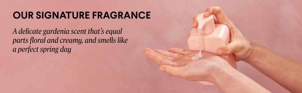 Volume Shampoo + Conditioner Set (2 Count) 12 oz. For Thin, Fine, and Oily Hair Made with Coconut Oil, Ginger Extract, and Vitamin E 100% Recyclable Bottle