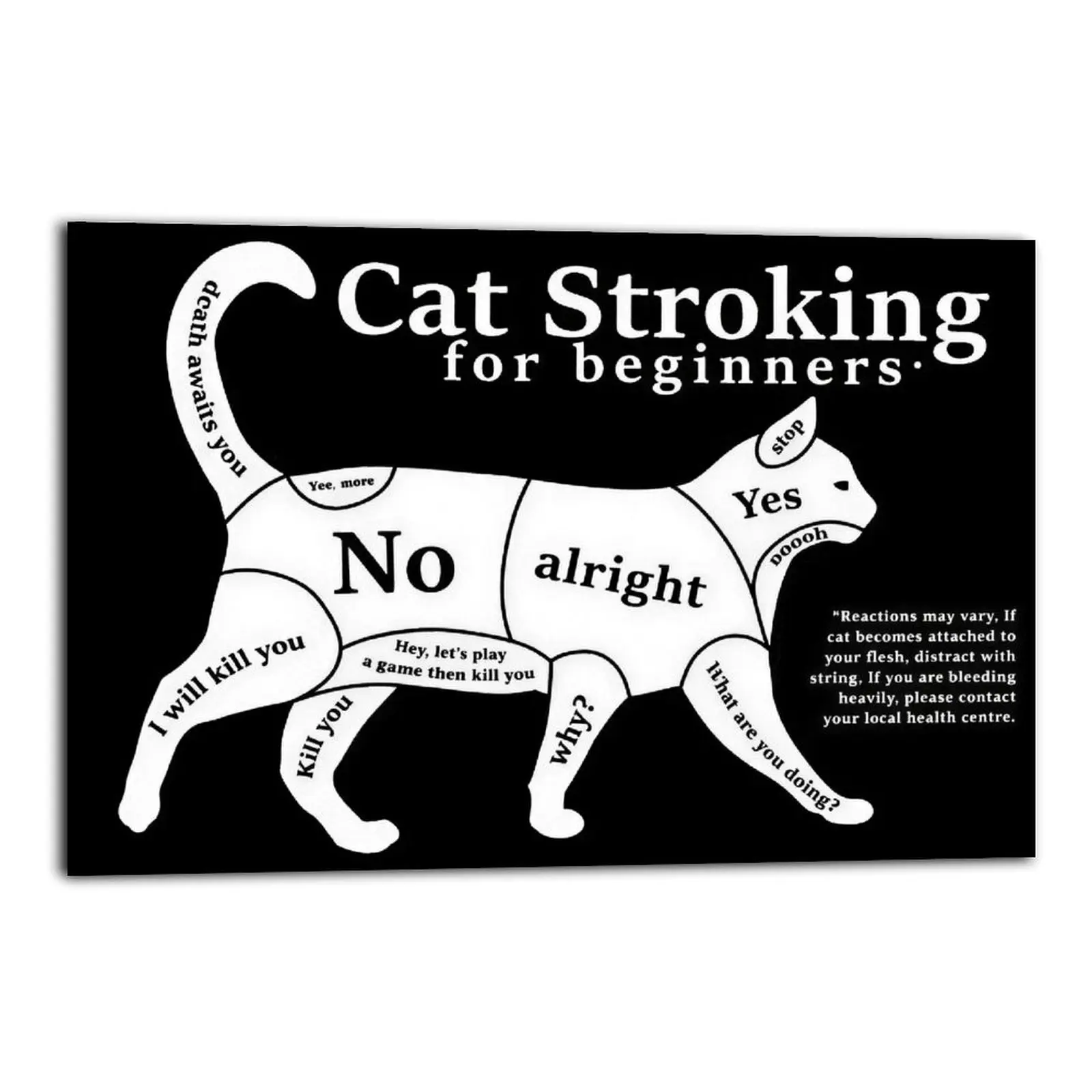 Cat Stroking for Beginners - Black And White Canvas Prints | Bedroom Art | Bathroom Art | Trendy Wall Art | Funky Wall Art