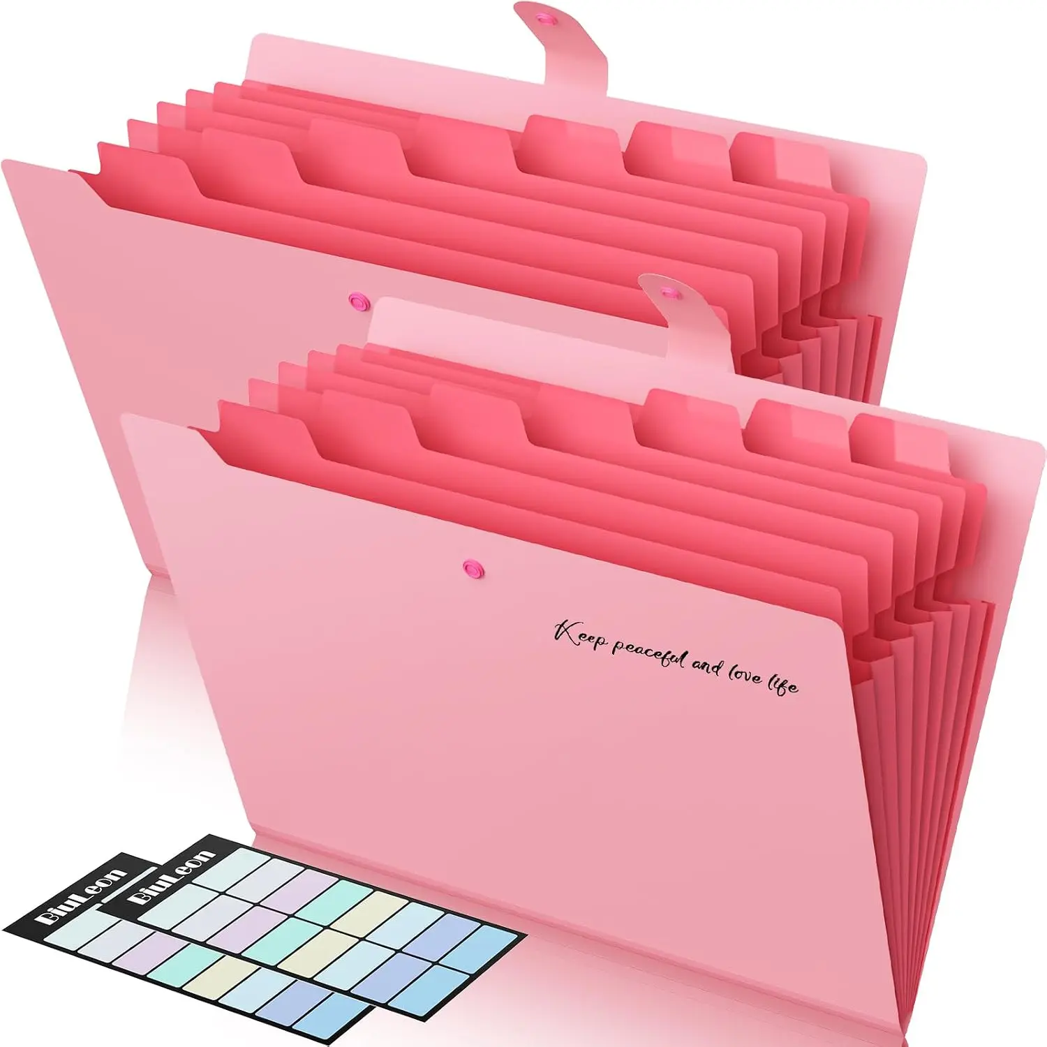 2 Pack Accordion File Organizer, 8 Pockets Expanding File Folder with Labels, Portable Document Paper Receipt Organizer for School Office , Letter/A4 Size