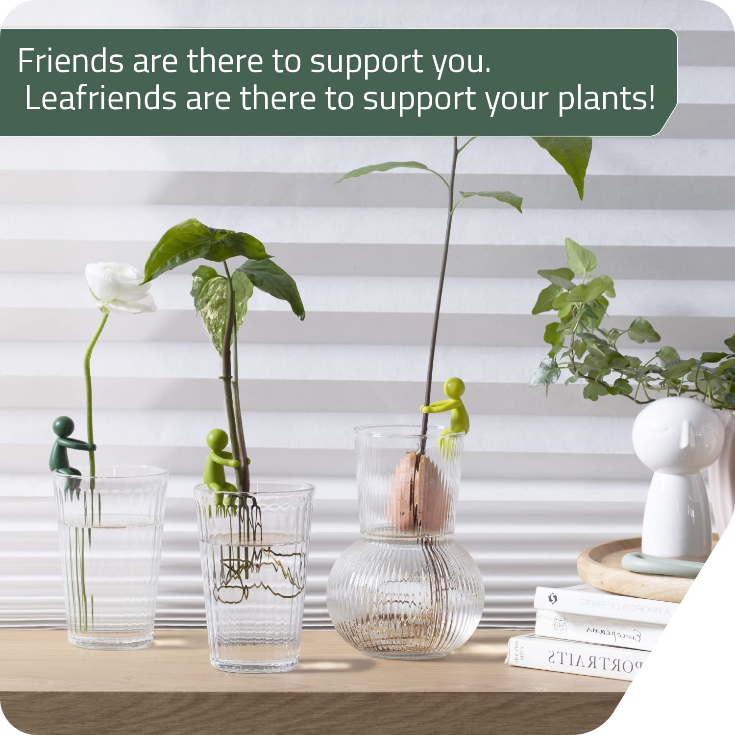 Plant Propagation Buddy (No Plant), Plant Support Frame, Plant Care &  Support Supplies for Home Garden, Garden Supplies, Garden Accessories,  Durable Plastic, Lightweight, Planting - TikTok Shop