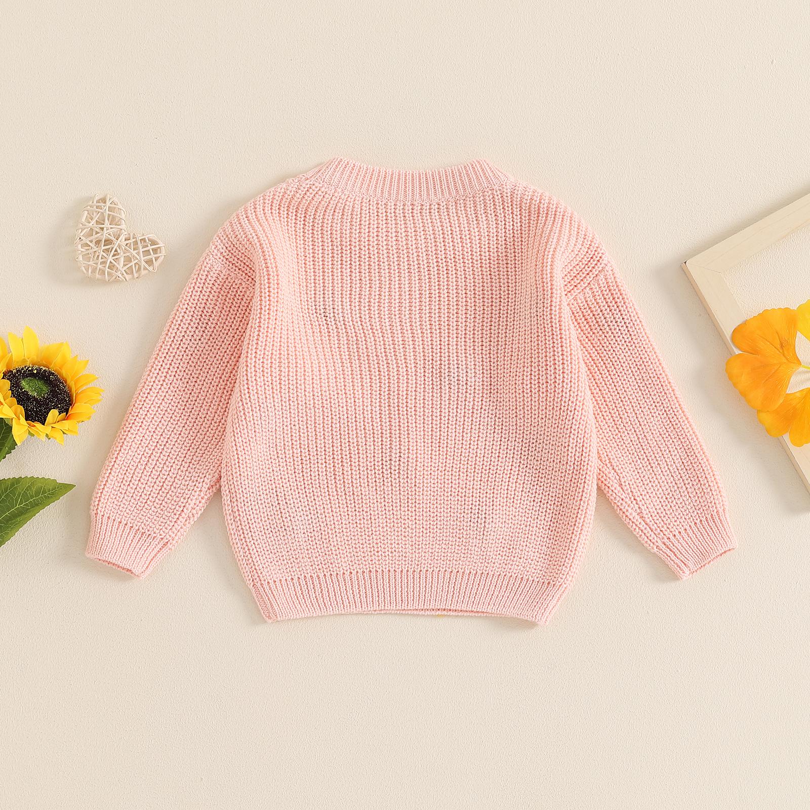 Toddler Baby Girl Knit Sweater Blouse Pullover Sweatshirt Flower Embroidery Warm Long Sleeve Tops 0-5 Years Toddler Baby Girl Knit Sweater Blouse Pullover Sweatshirt Flower Embroidery Warm Long Sleeve Tops 0-5 Years