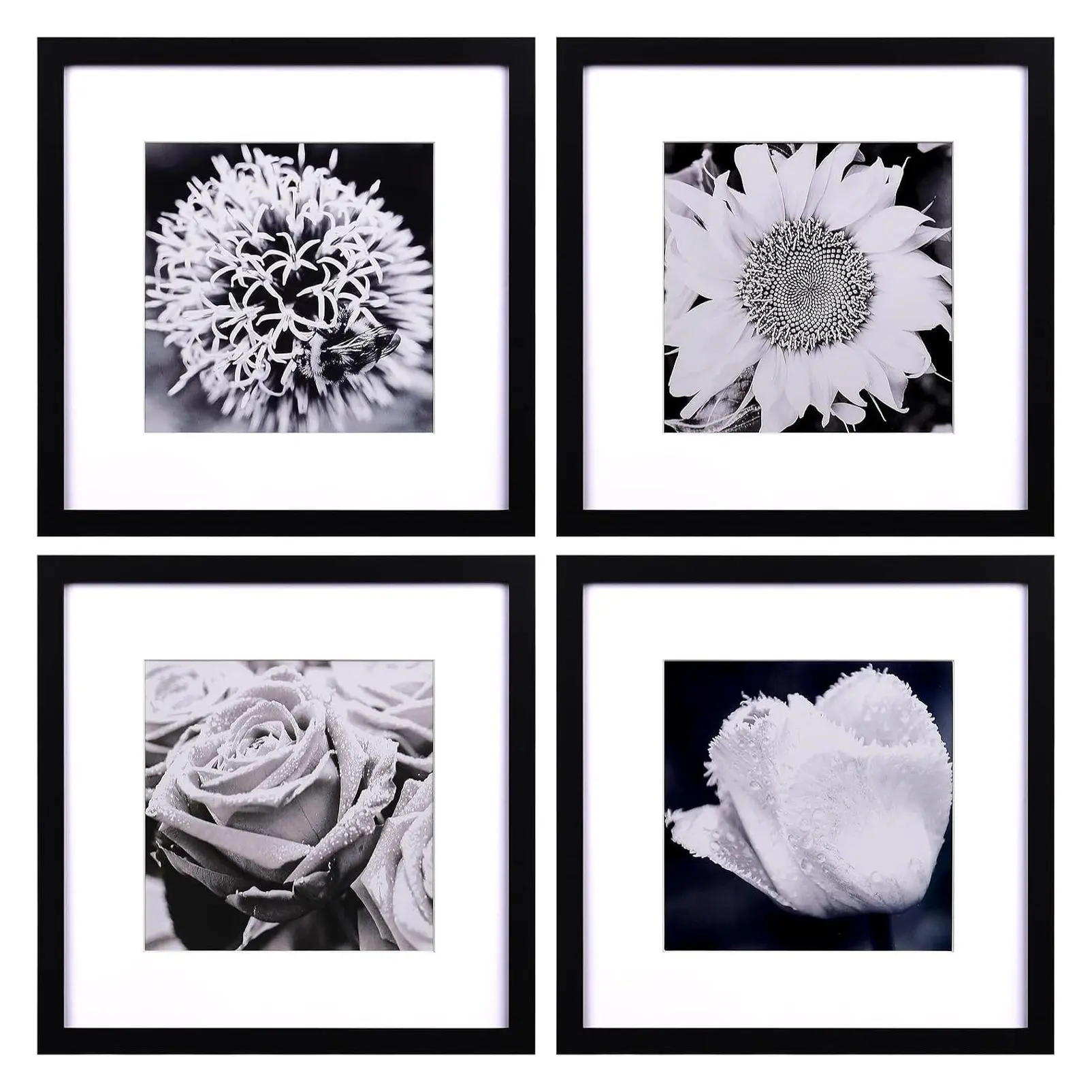 12x12 Black Picture Frames Set of 4, Square Wall Mounted Gallery Frames Display 8x8 with Mat or 12x12 without Mat (4 Pack)Gift